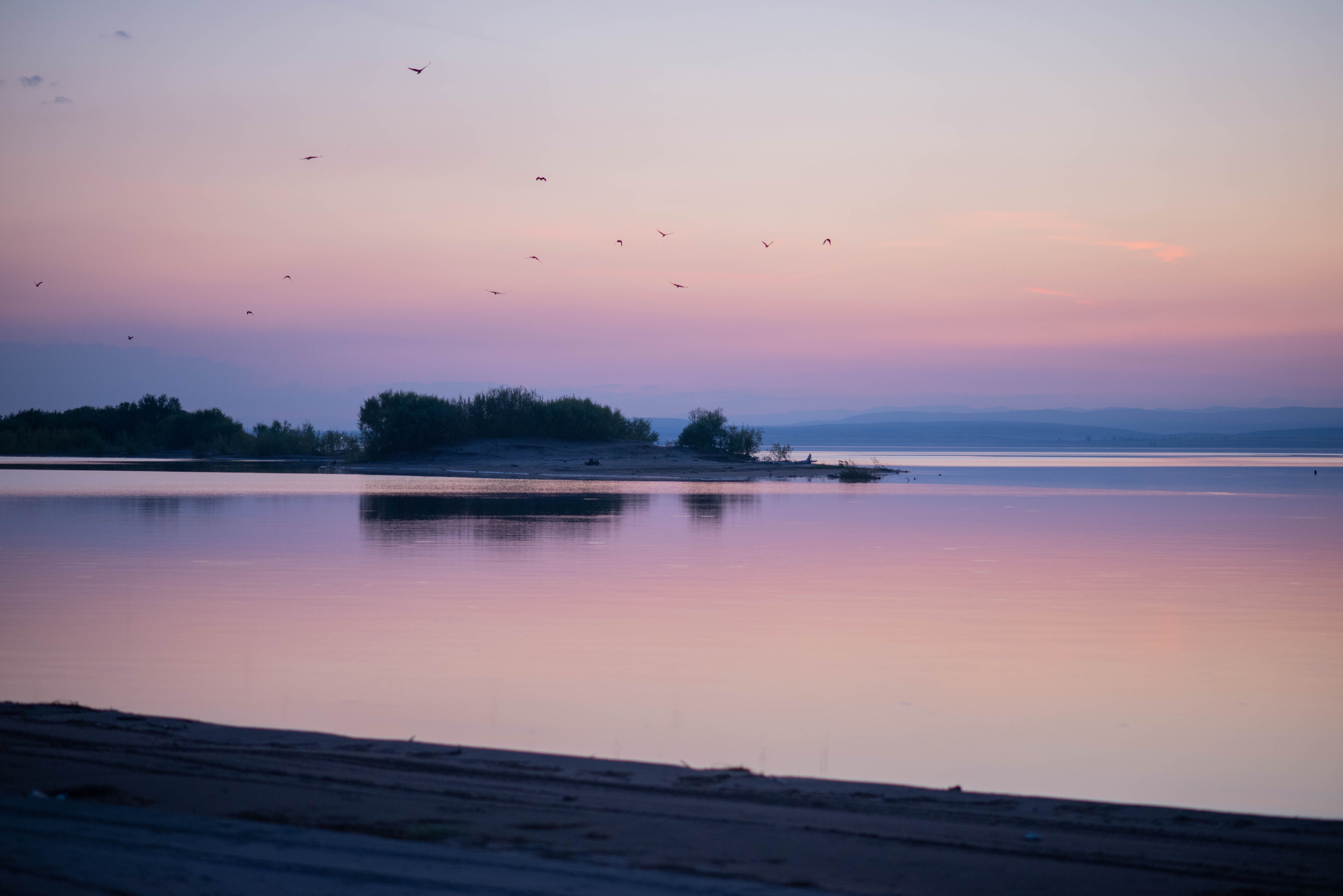 Светлана и Владимир. Семейный и свадебный фотограф в Абакане Юлия Су
