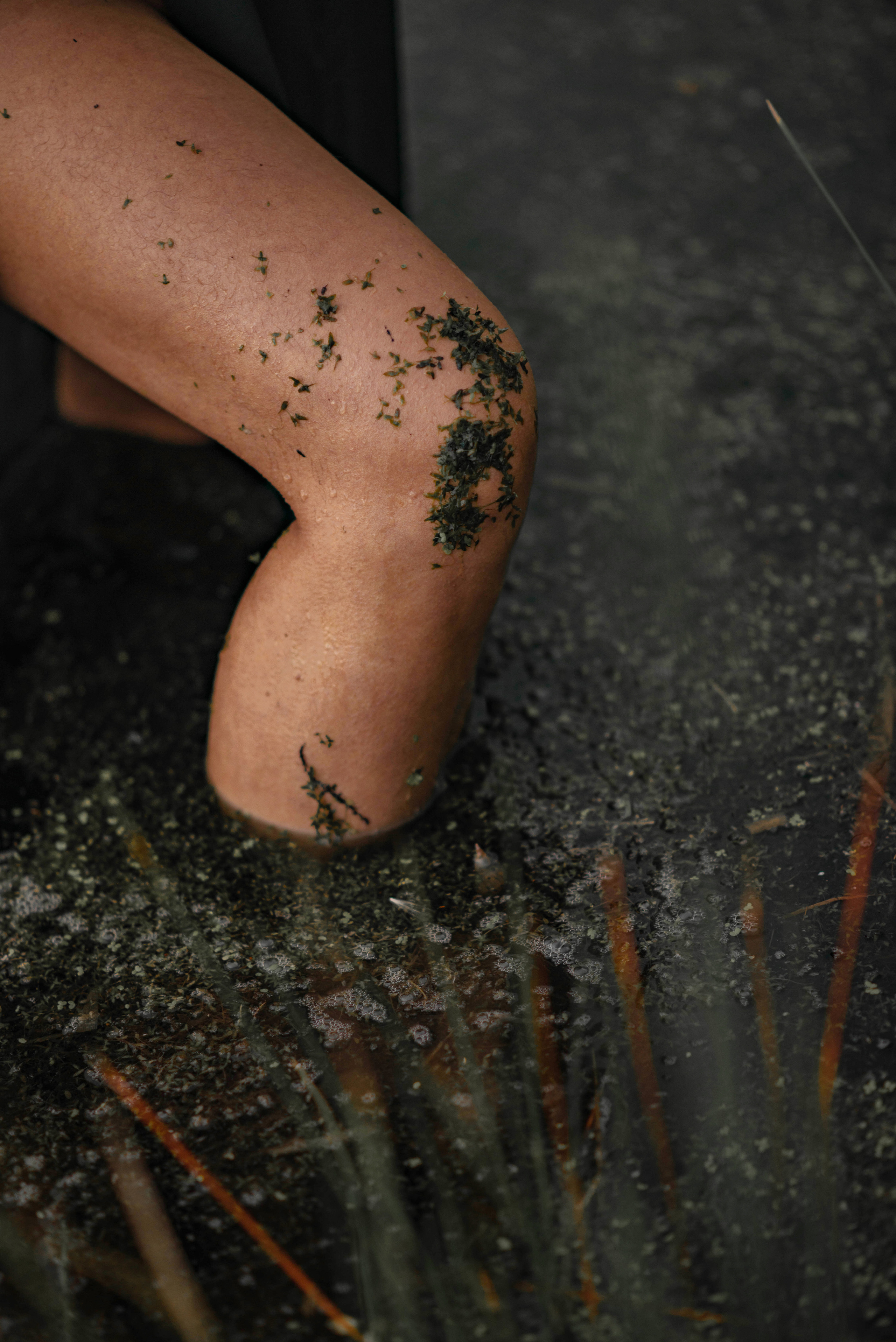 Черная орхидея. Семейный и свадебный фотограф в Абакане Юлия Су