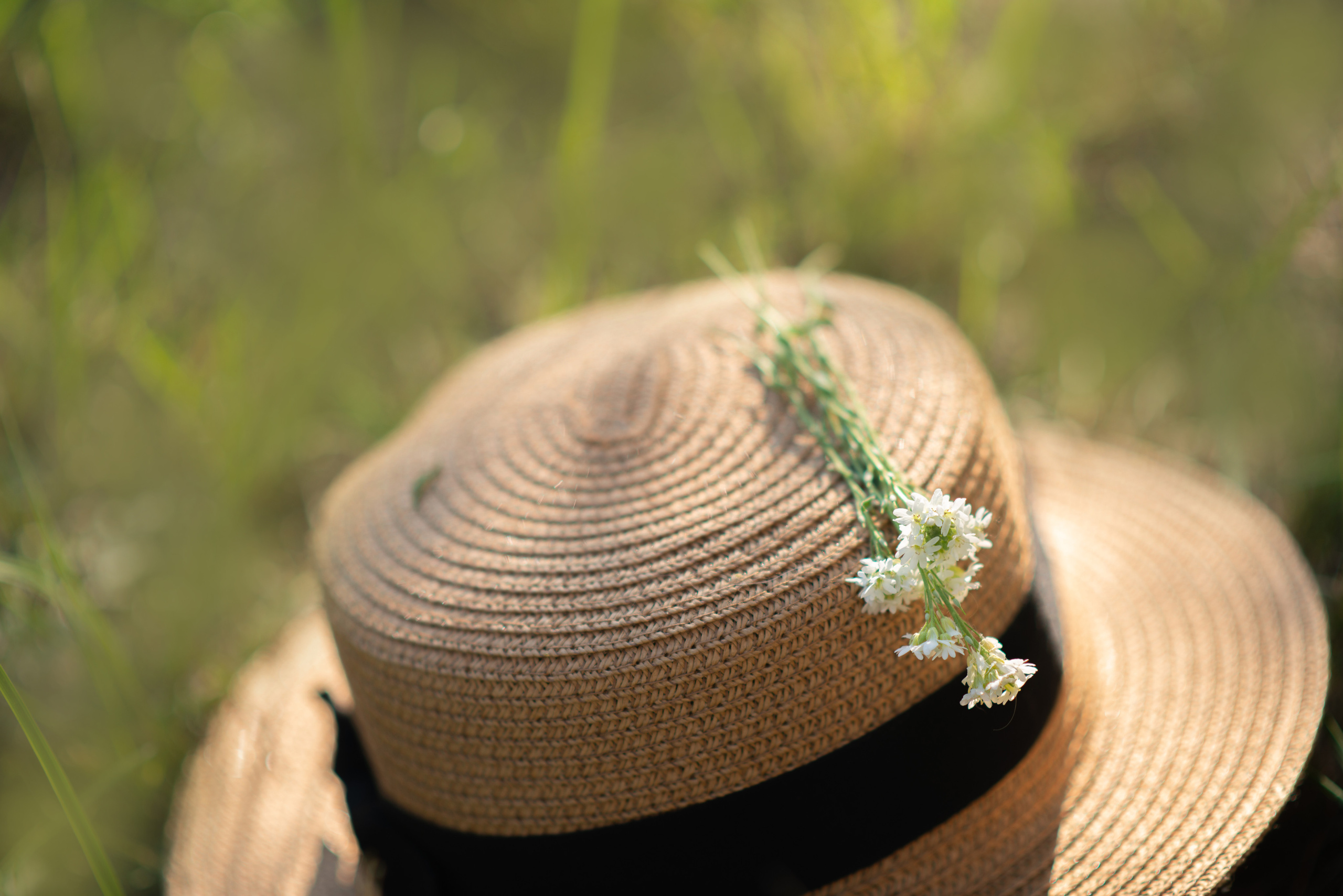 Маленькая София. Семейный и свадебный фотограф в Абакане Юлия Су