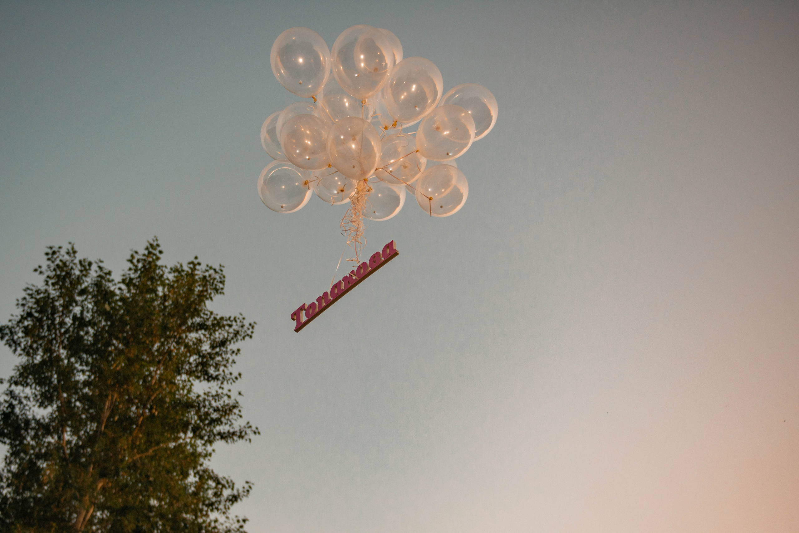 Вика и Александр. Семейный и свадебный фотограф в Абакане Юлия Су