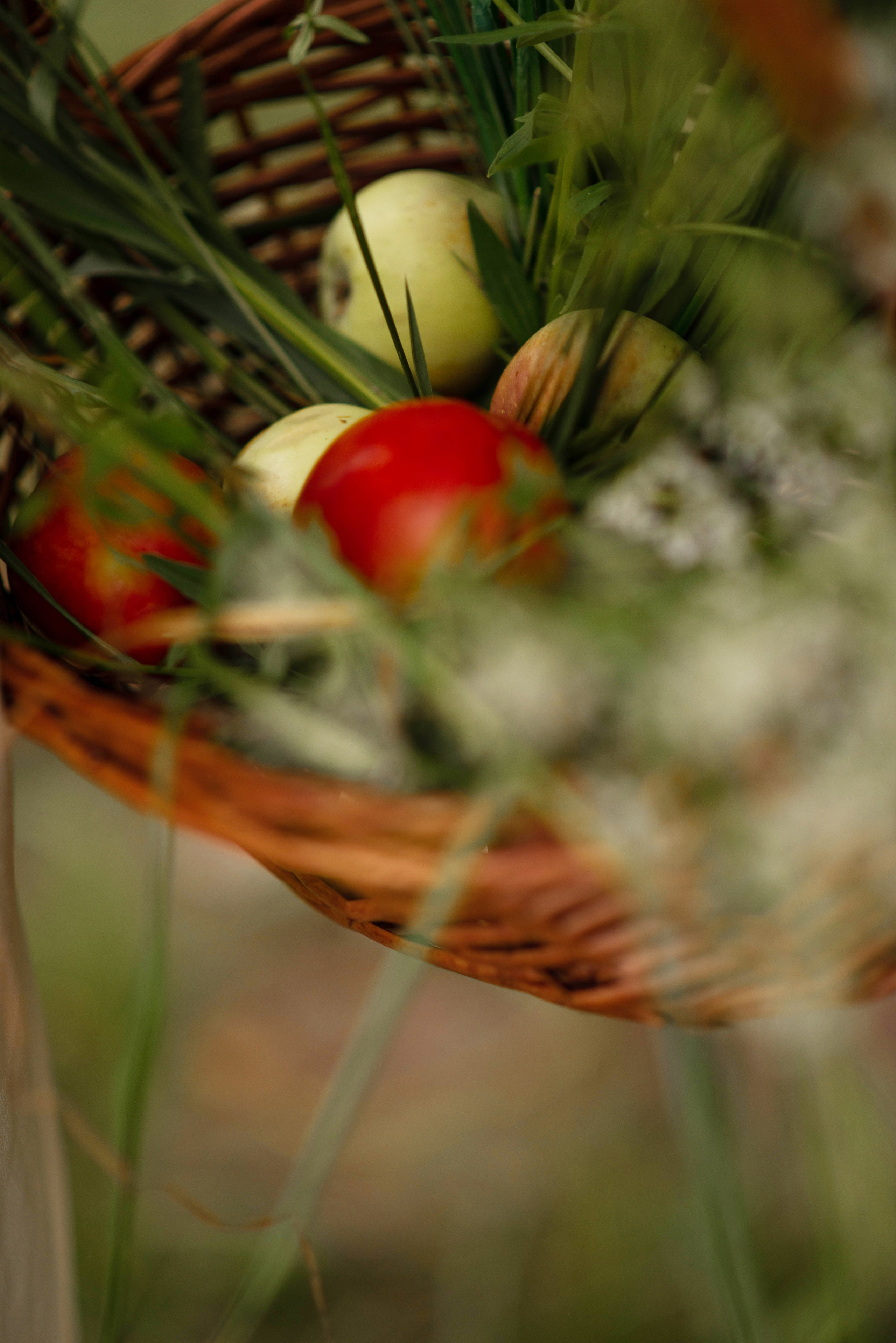 София. Съёмка 1. Семейный и свадебный фотограф в Абакане Юлия Су