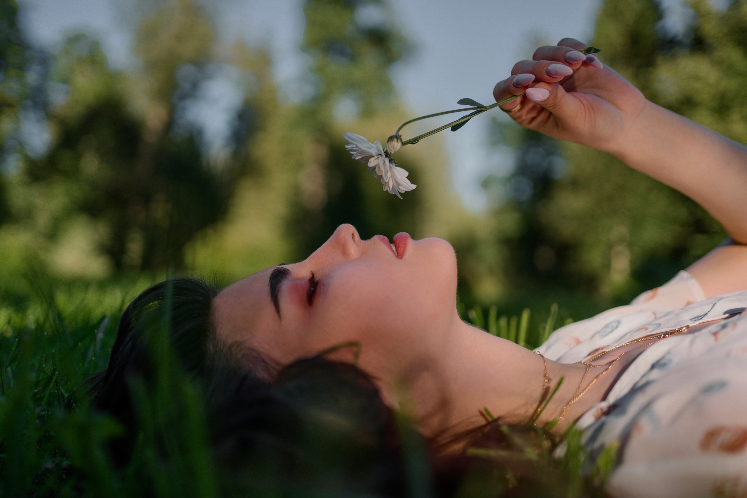 Vladlena. Главная