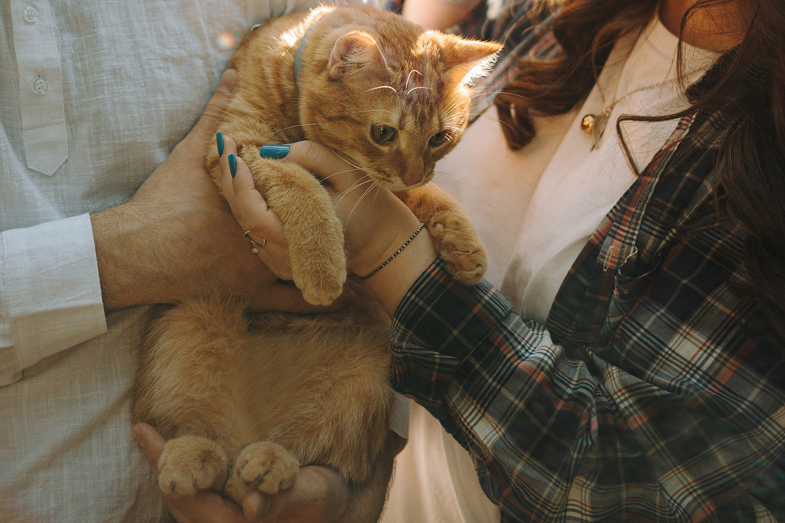 Макс и его семья. Фотограф — анималист •love-story•|Санкт-Петербург