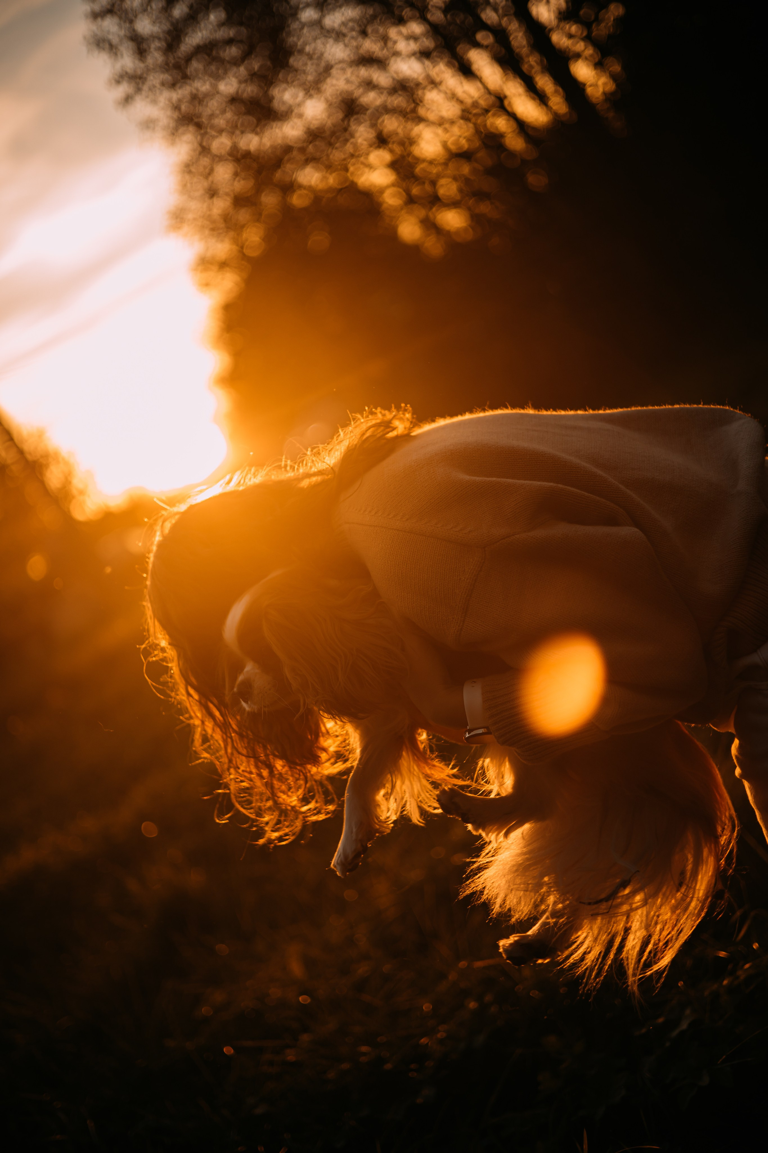 Снежанна и Тесси. Фотограф — анималист •love-story•|Санкт-Петербург