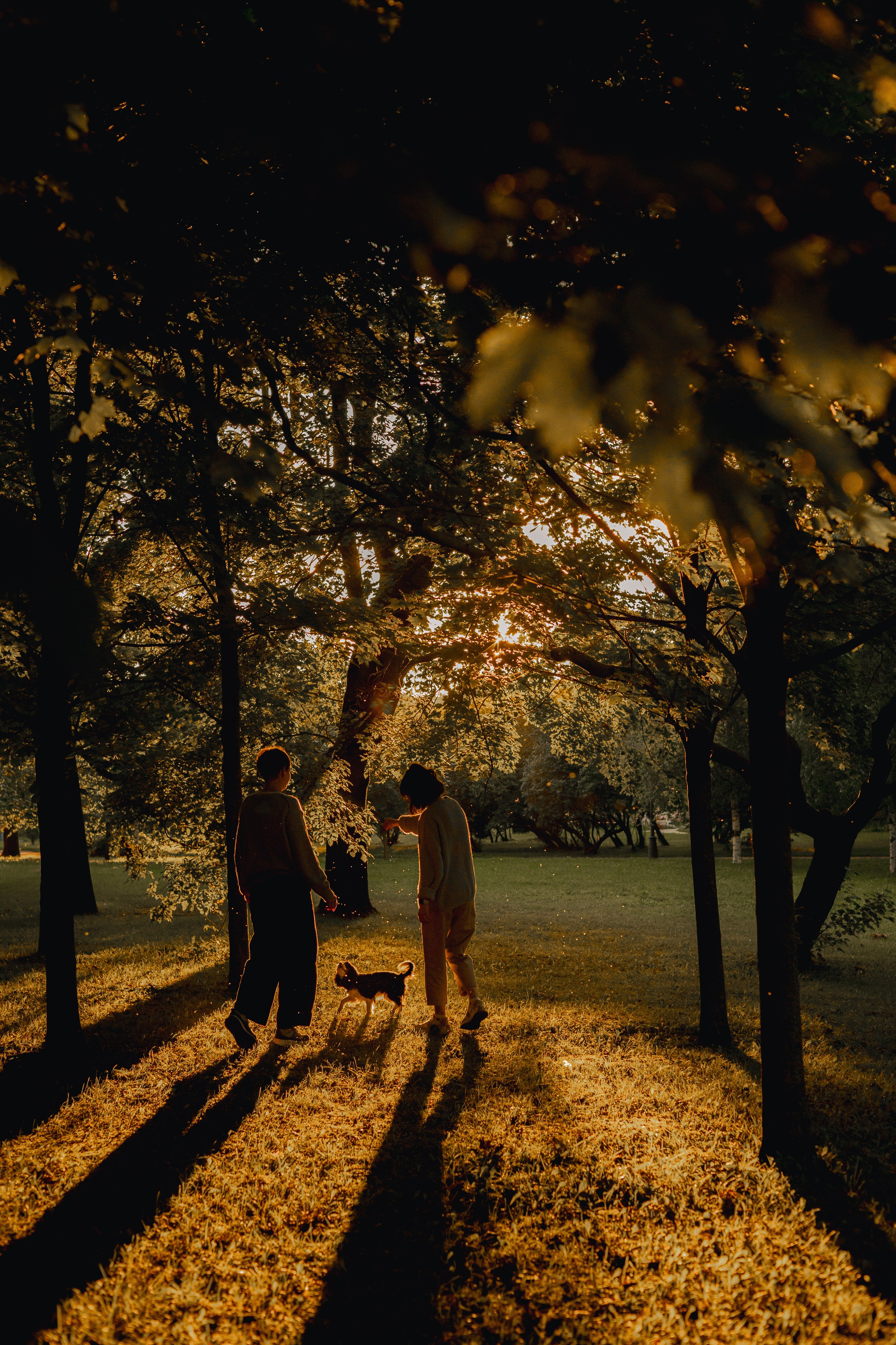 Один день из жизни Стеши и её родных. Фотограф — анималист •love-story•|Санкт-Петербург