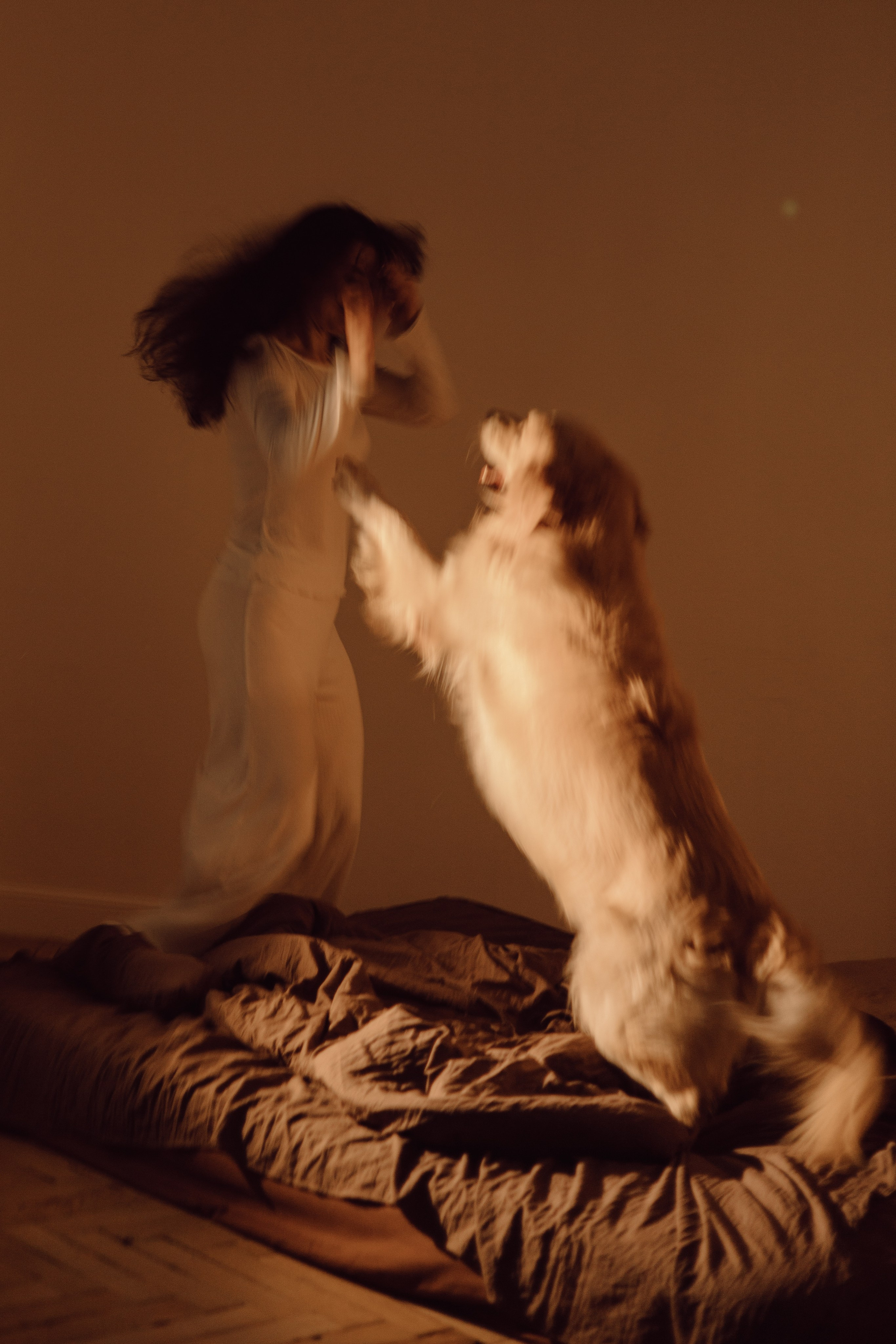 Лёва и его семья. Фотограф — анималист •love-story•|Санкт-Петербург