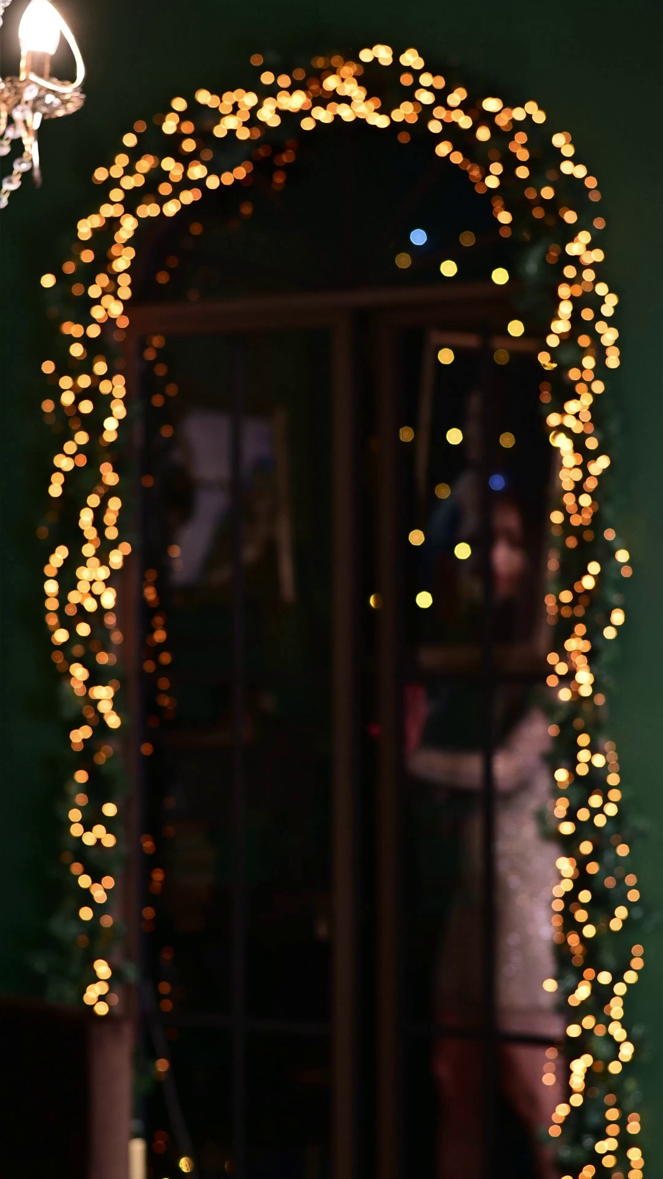 Видео маленькие круассанчики (щенки). Мила Астахова