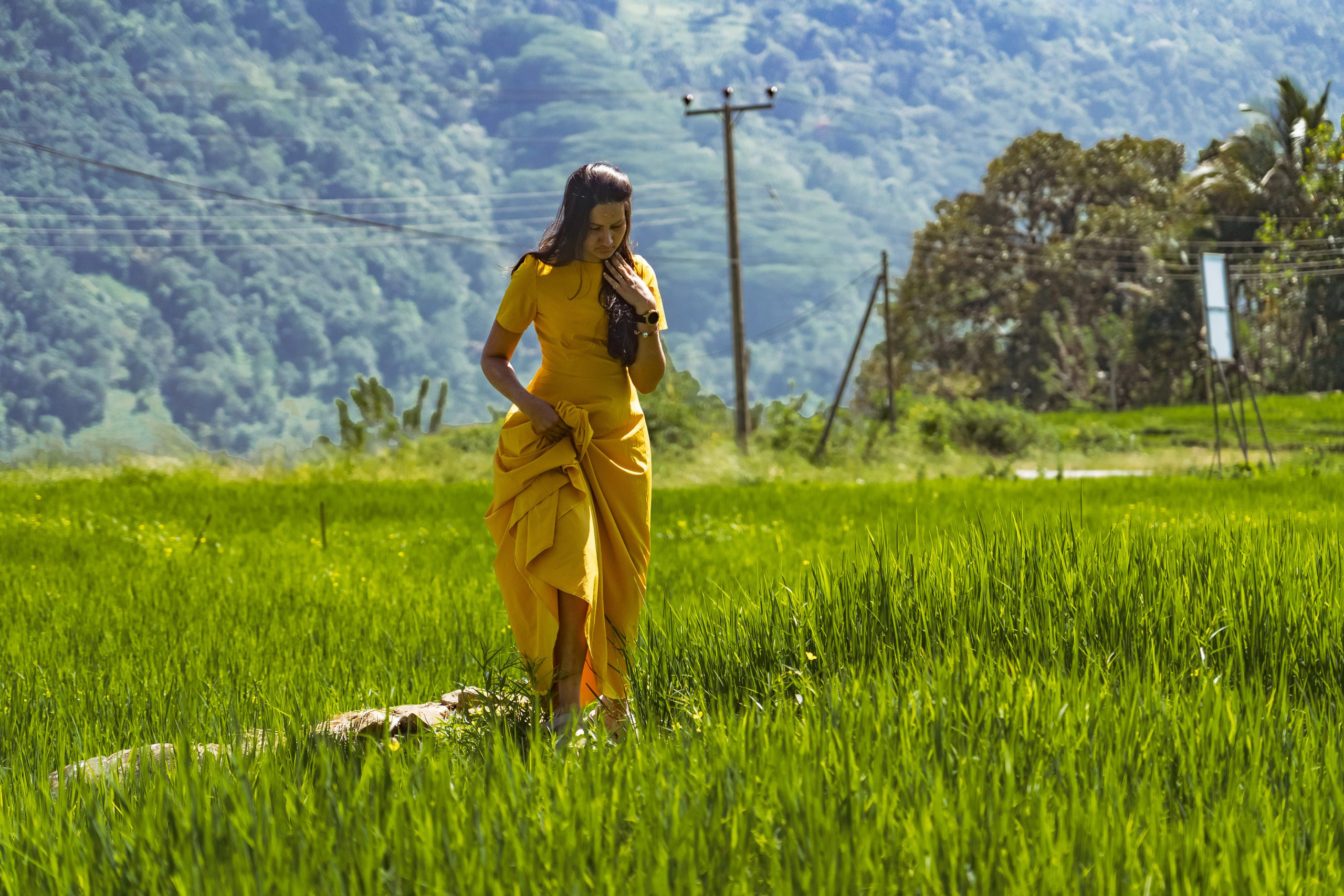 Promo content shooting for Ceylon Forward Tours