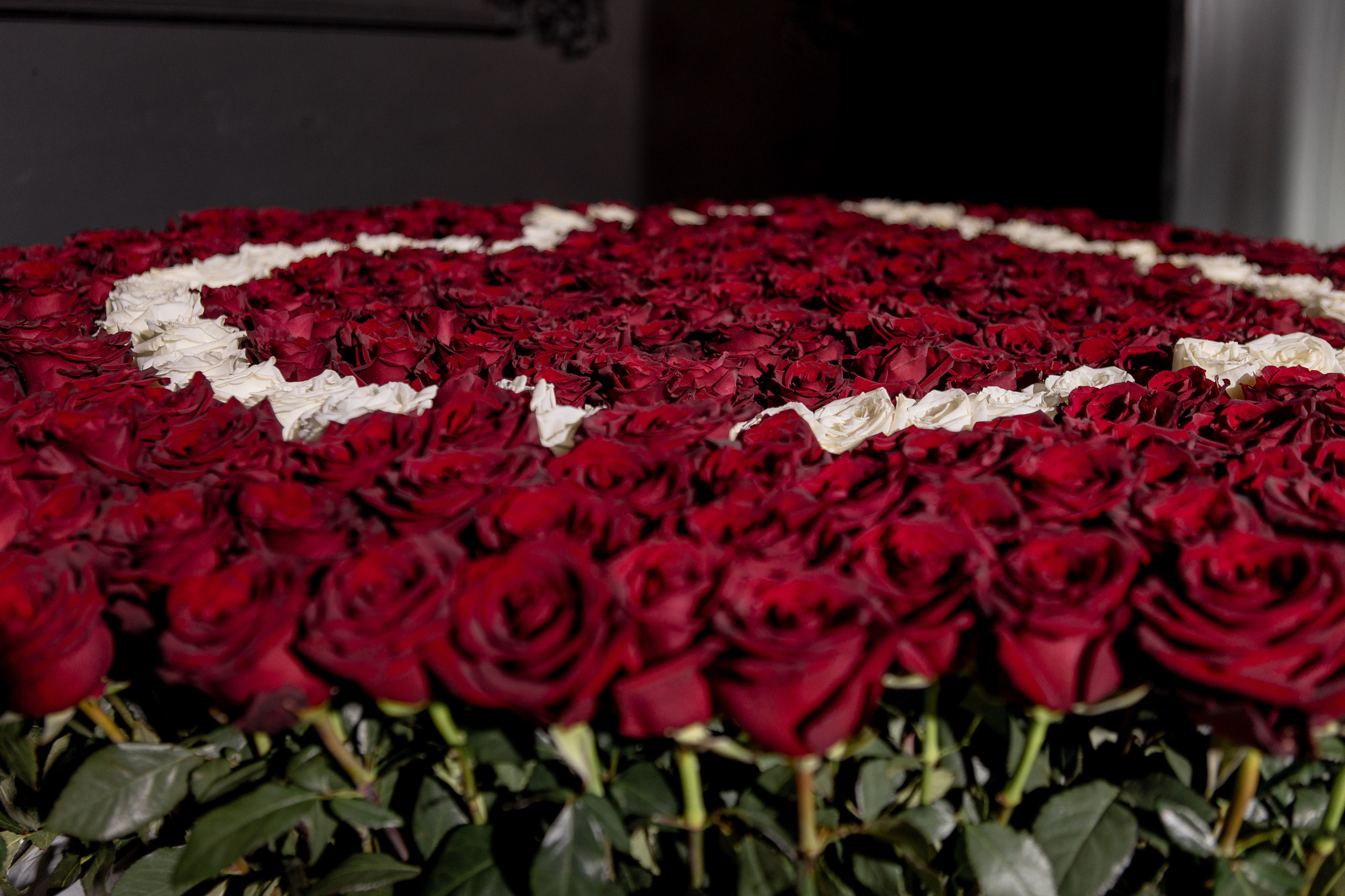 Илья и Наталья. Свадебный фотограф Ксения Трухина в Нижнем Новгороде и Москве