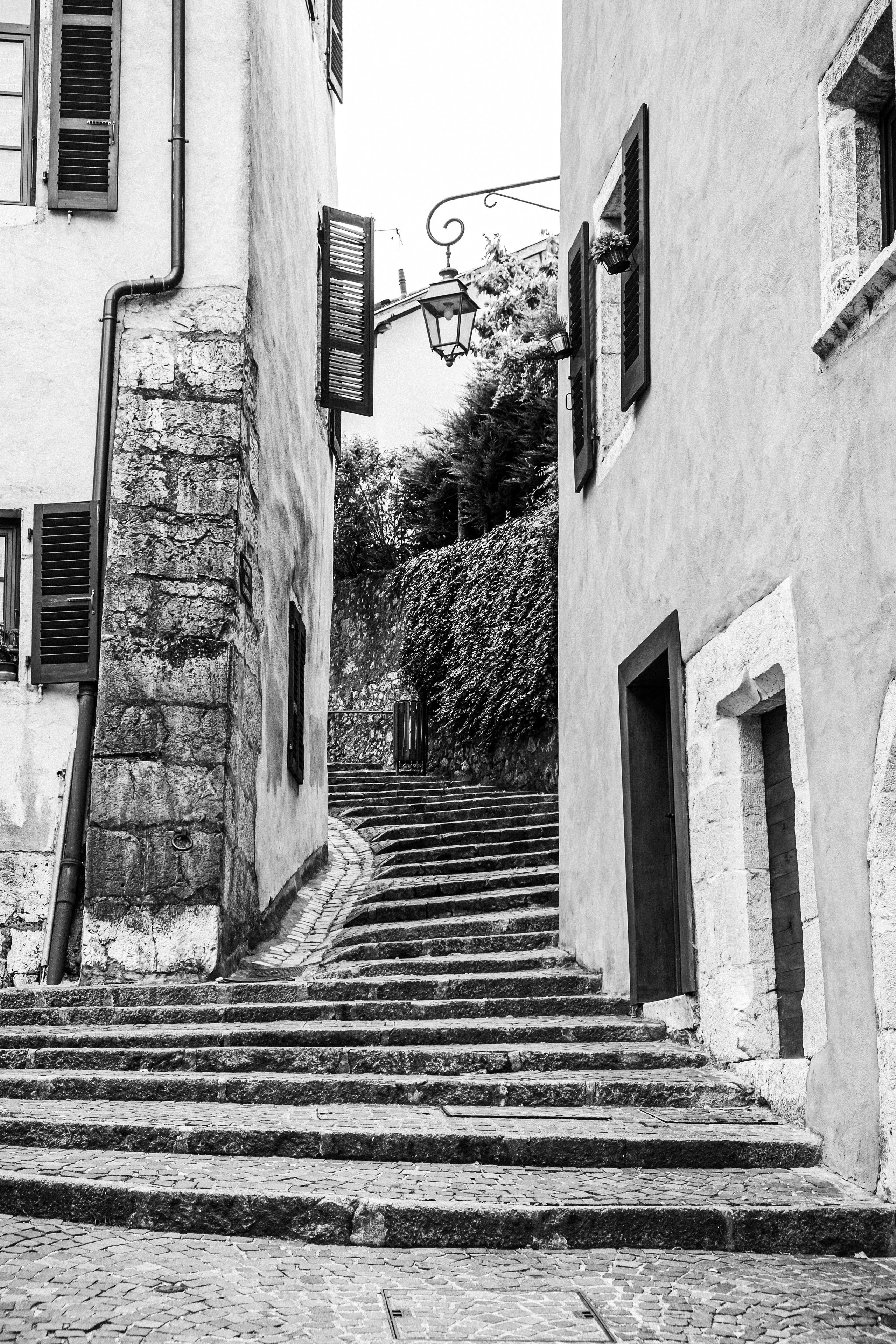 Анси. Фотограф Антон Швец — Монохромная реальность