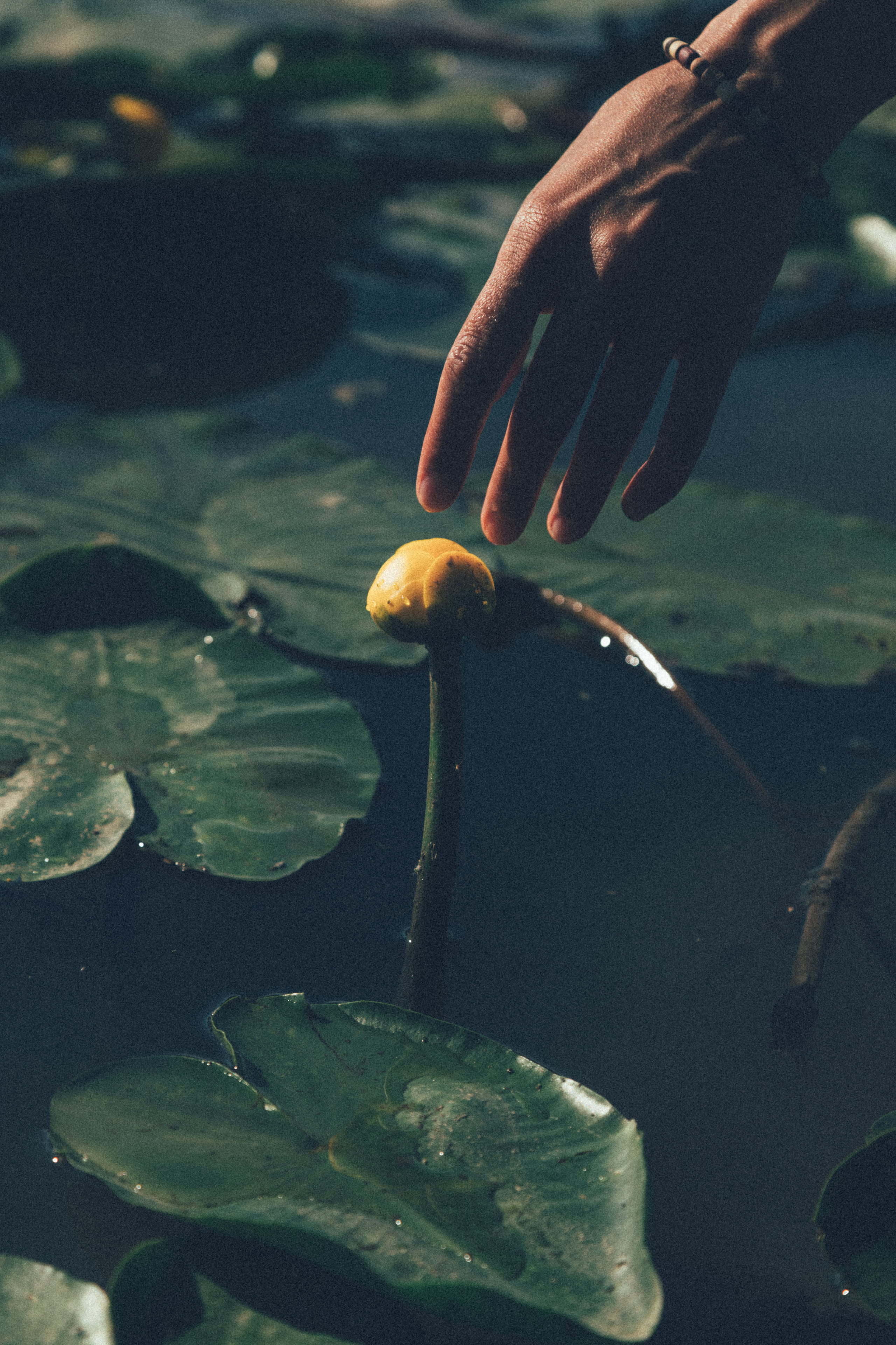 Регина. Семейный фотограф новорожденных УФА Гульнара Зиновьева