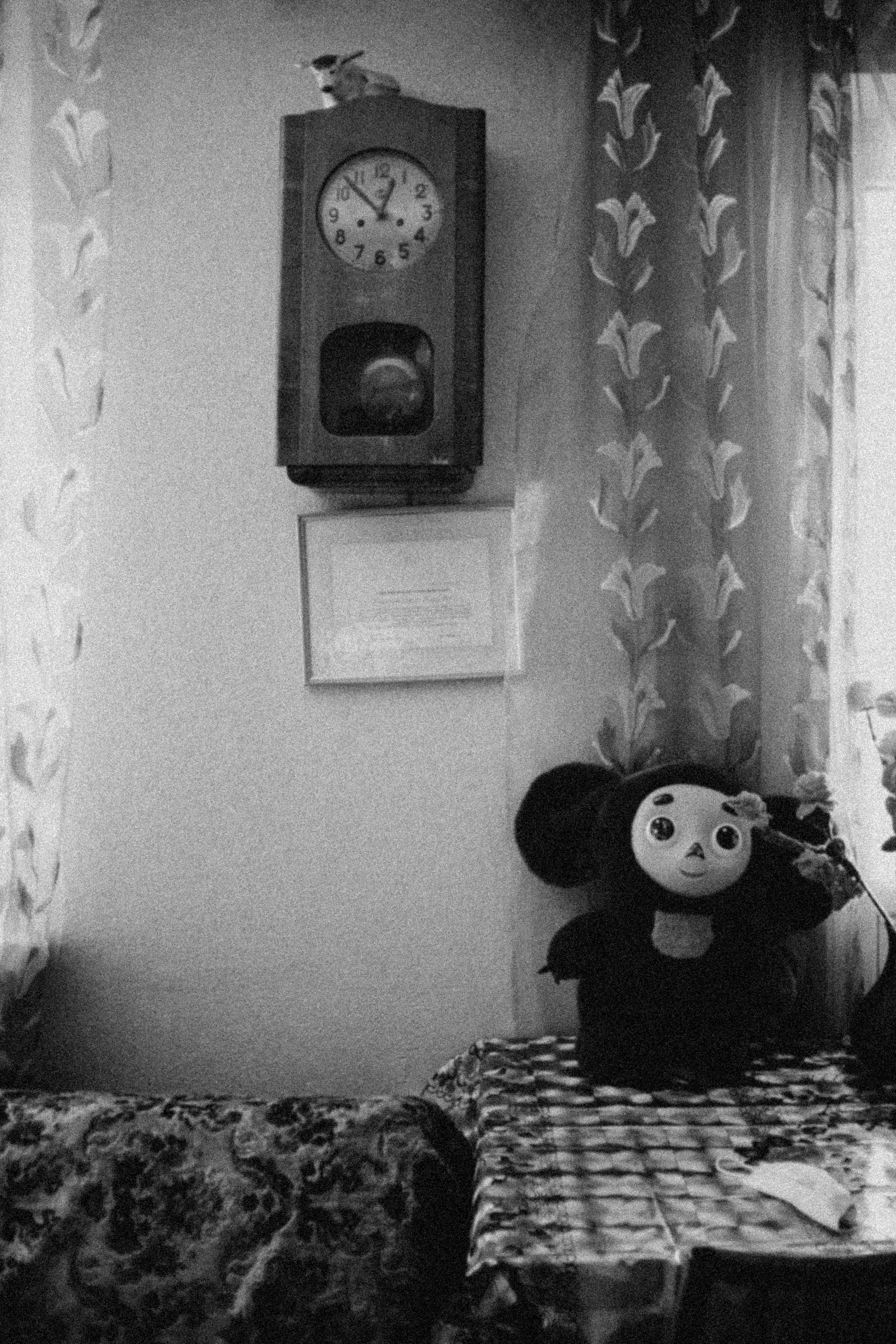 Азалия, Сабина, Рамазан, Ислам. Семейный фотограф новорожденных УФА Гульнара Зиновьева