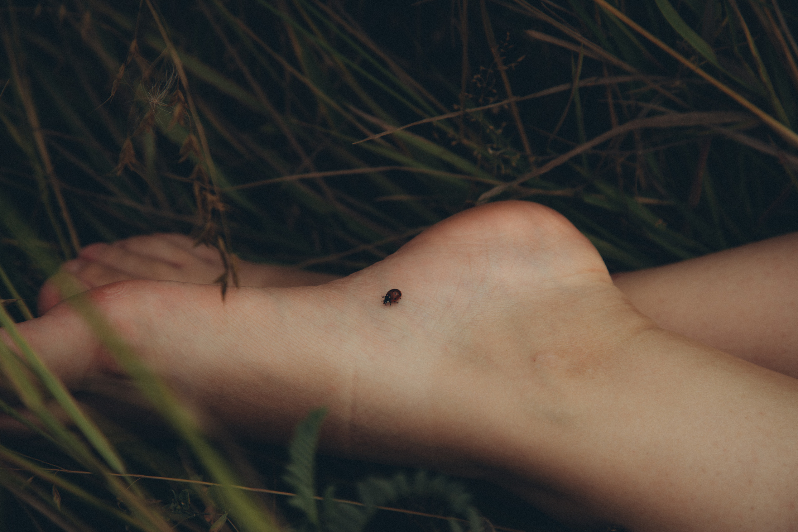 Артур и Луиза. Семейный фотограф новорожденных УФА Гульнара Зиновьева