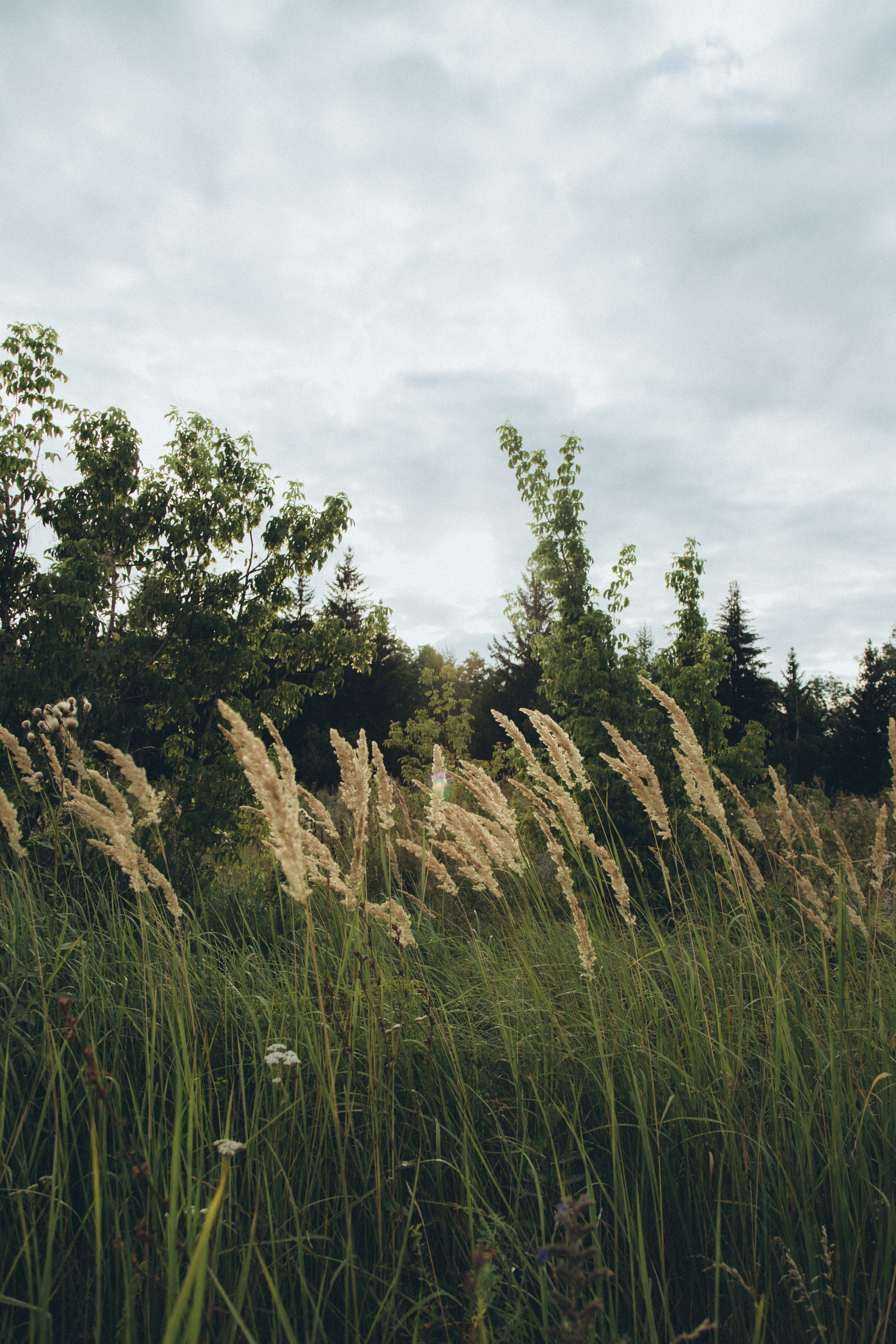 Артур и Луиза. Семейный фотограф новорожденных УФА Гульнара Зиновьева
