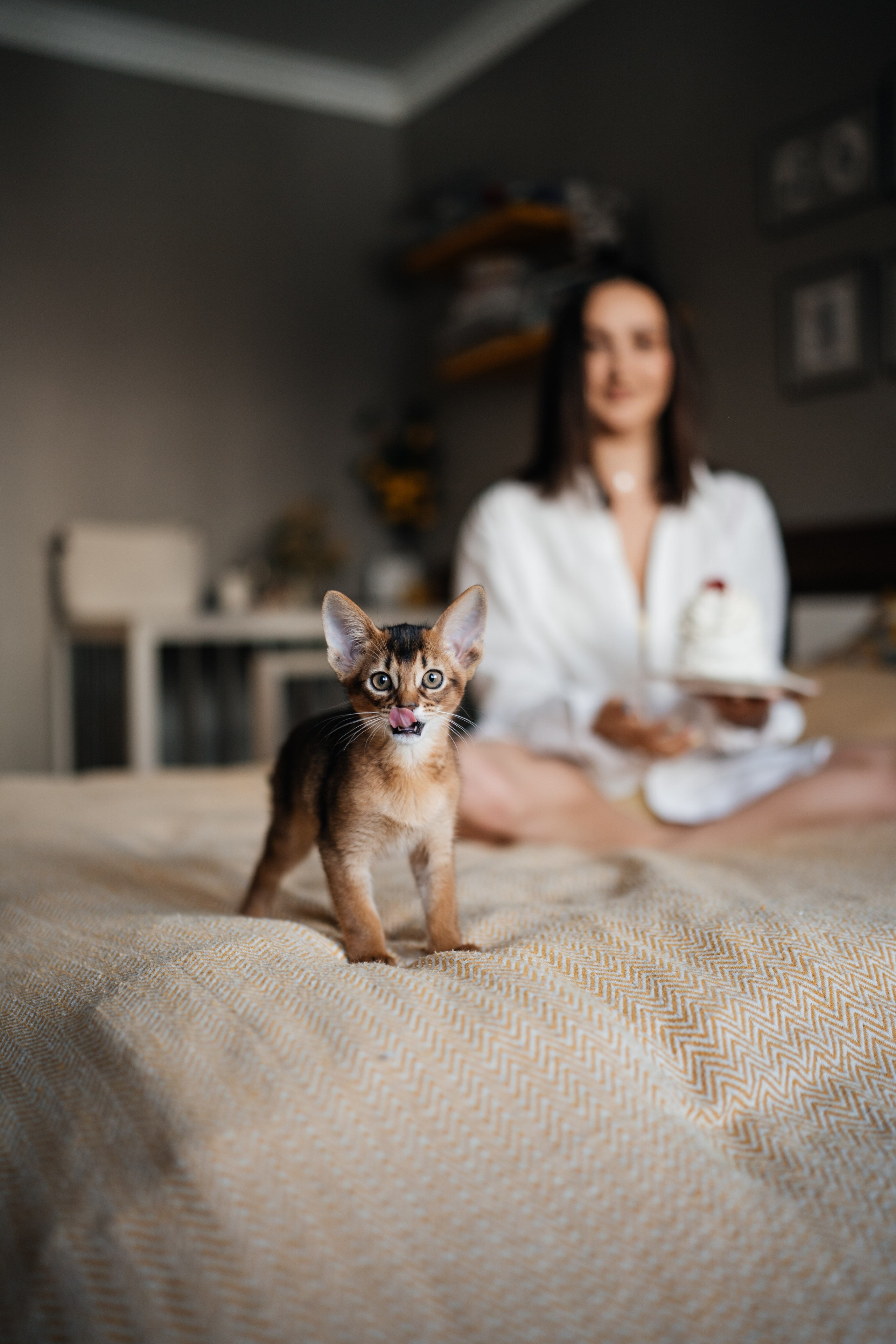 Съемки с животными. Https://instagram.com/ana.stasia.n