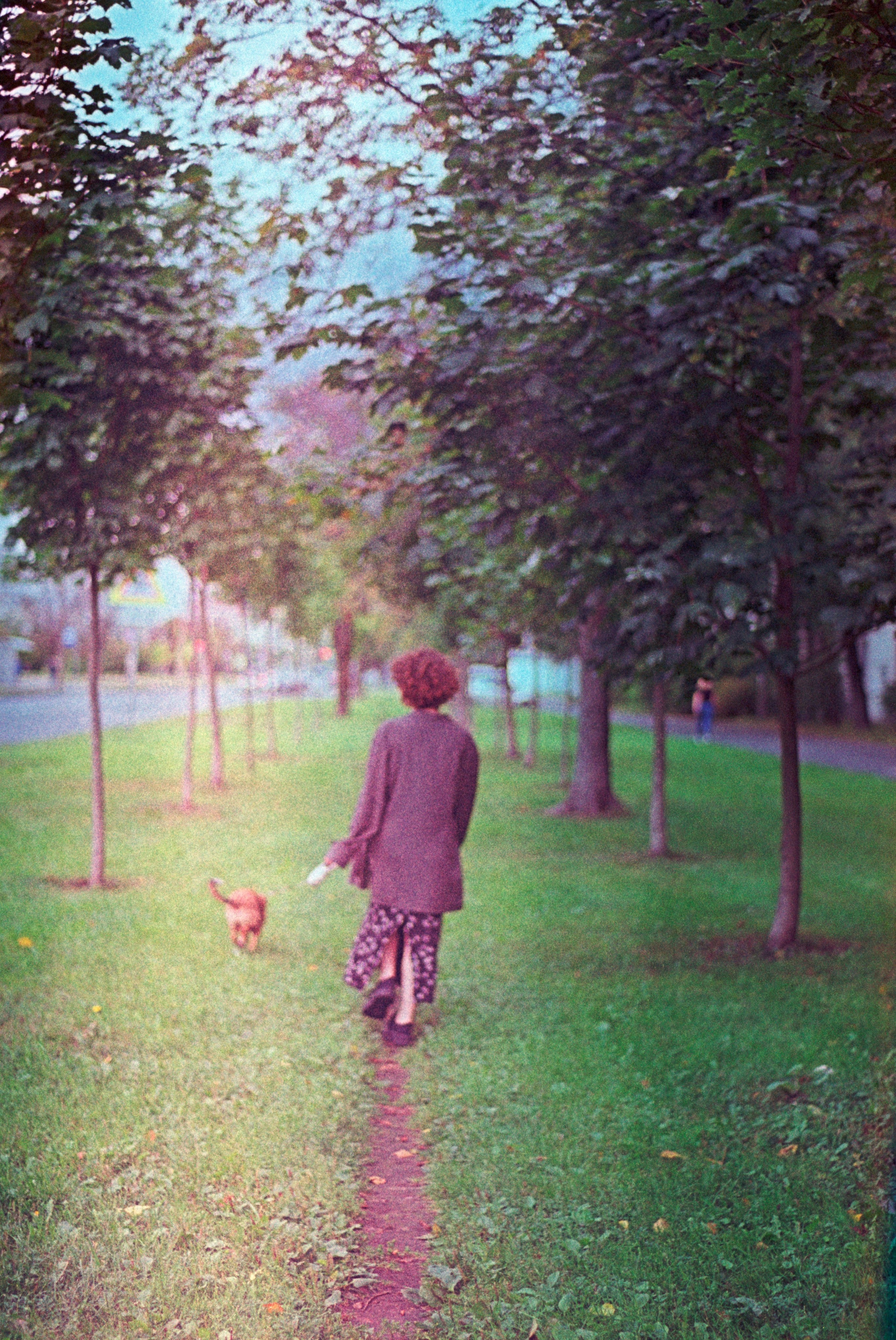 N&F 2. Стилист и плёночный фотограф Анастасия Шлокова в Санкт-Петербурге и Москве