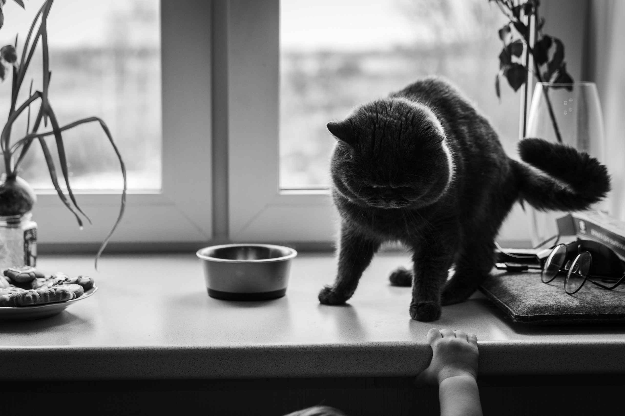 Семейные съёмки. Семейный фотограф в Новомичуринске Наташа Непомнящая