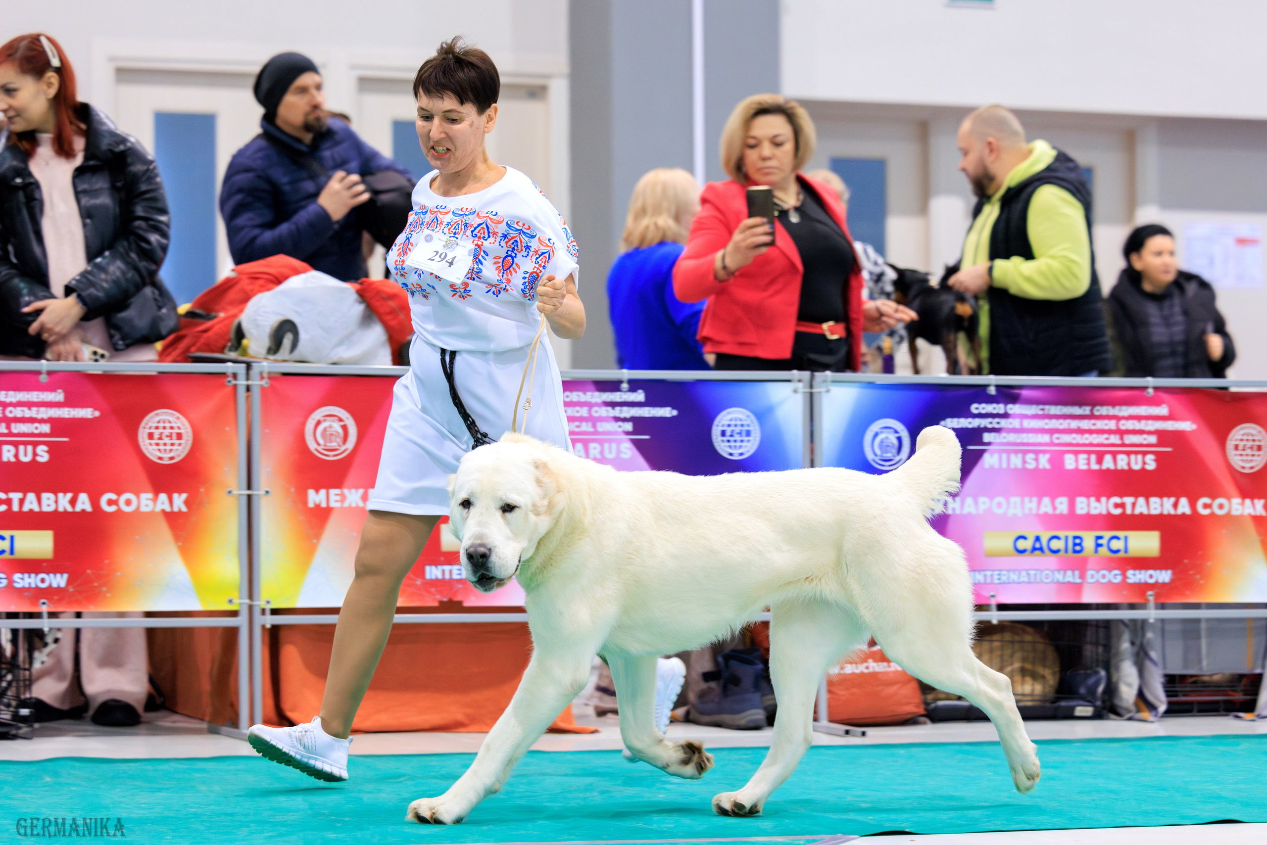 Минск 24-25.02.2024. Фотограф-анималист Юлия Германика