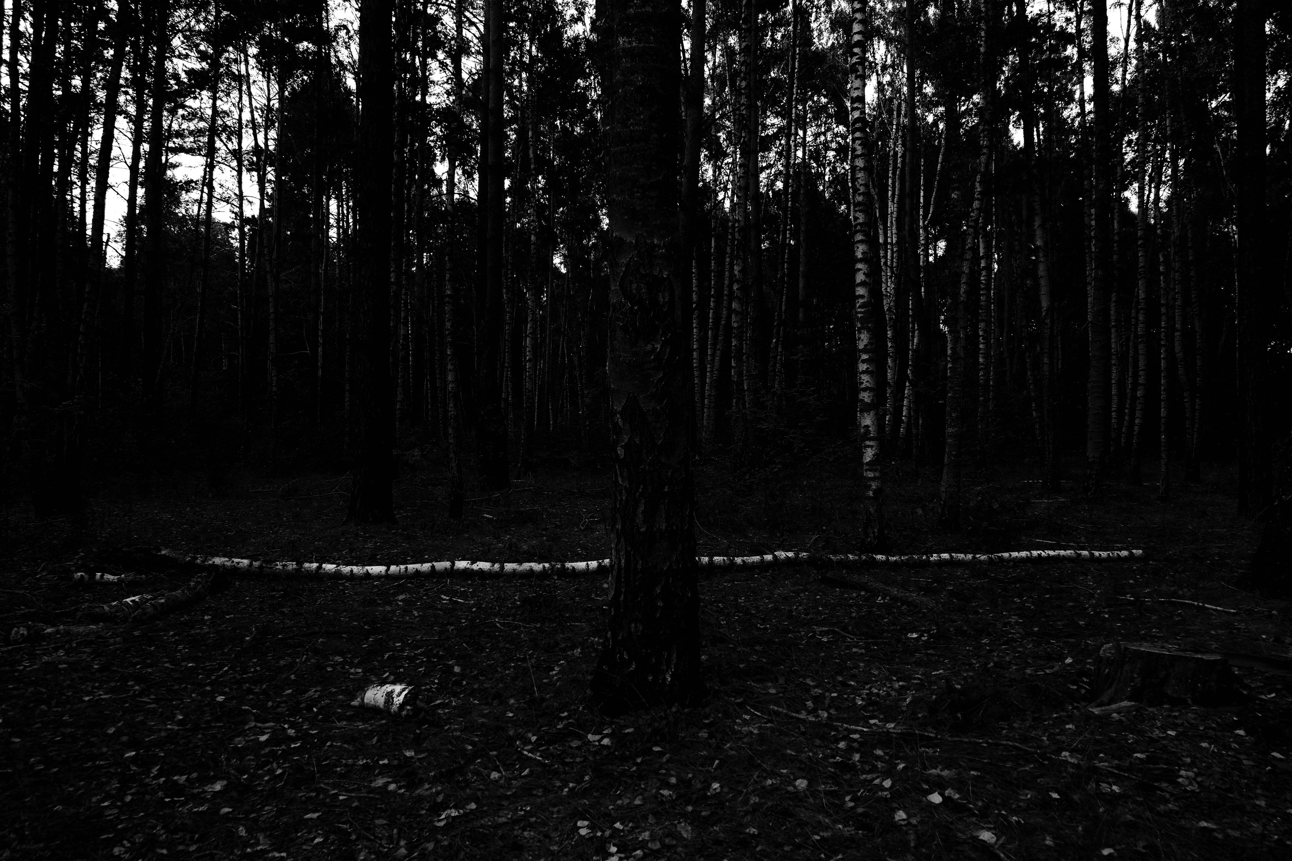 ЧБ  пейзажи (BnW landscape). Фотограф (photographer) Lischinski Vitaliy