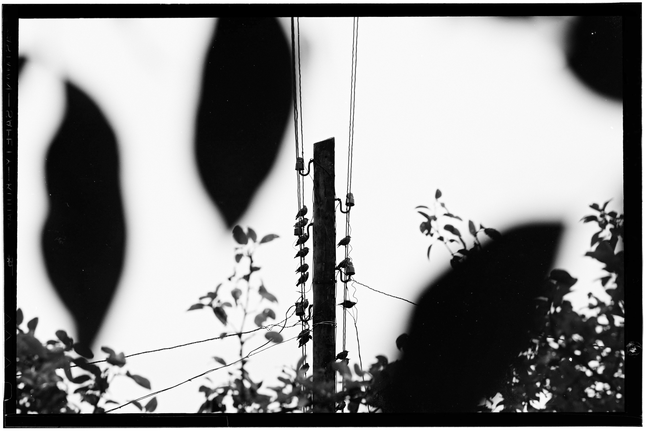 ЧБ  пейзажи (BnW landscape). Фотограф (photographer) Lischinski Vitaliy