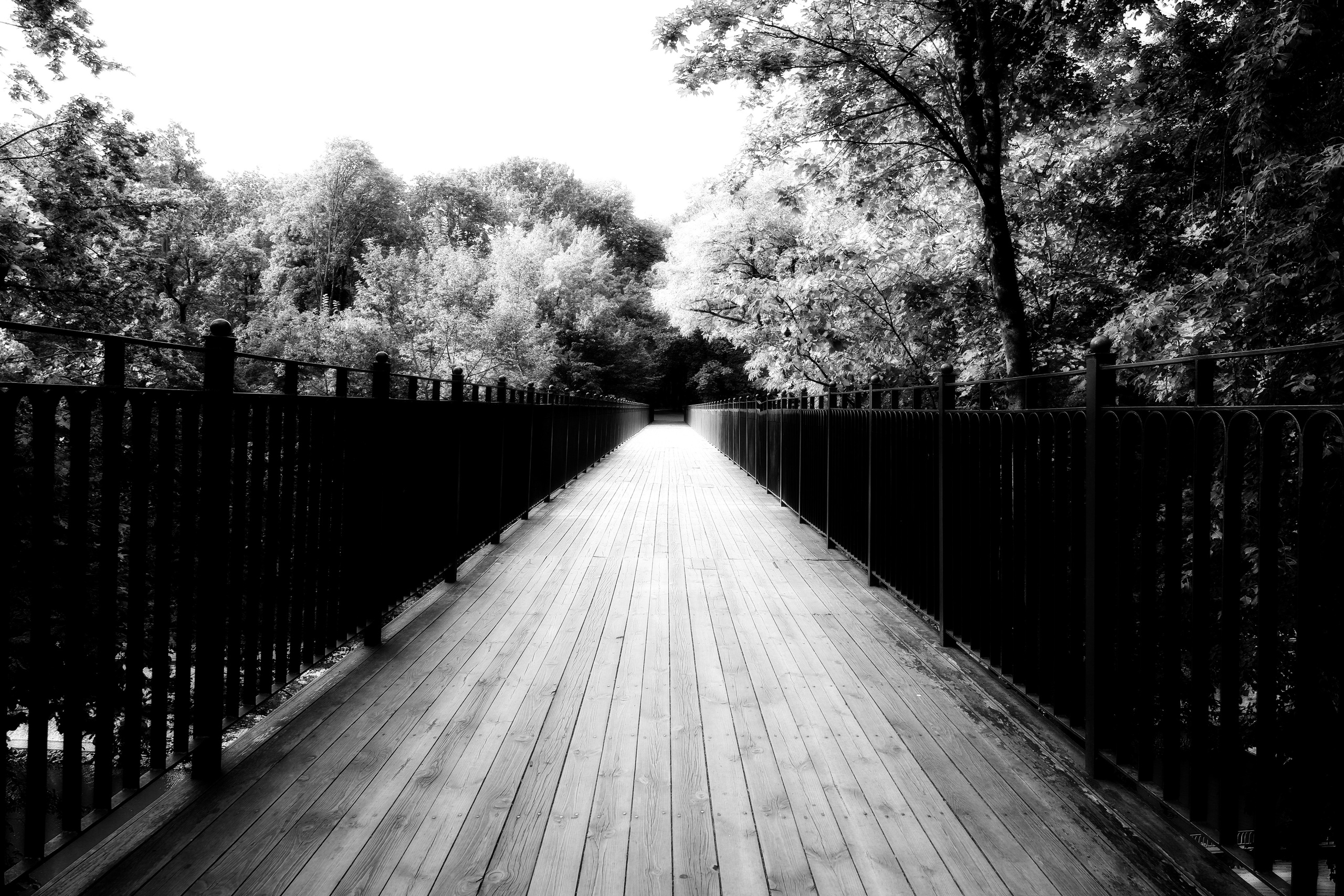 ЧБ  пейзажи (BnW landscape). Фотограф (photographer) Lischinski Vitaliy