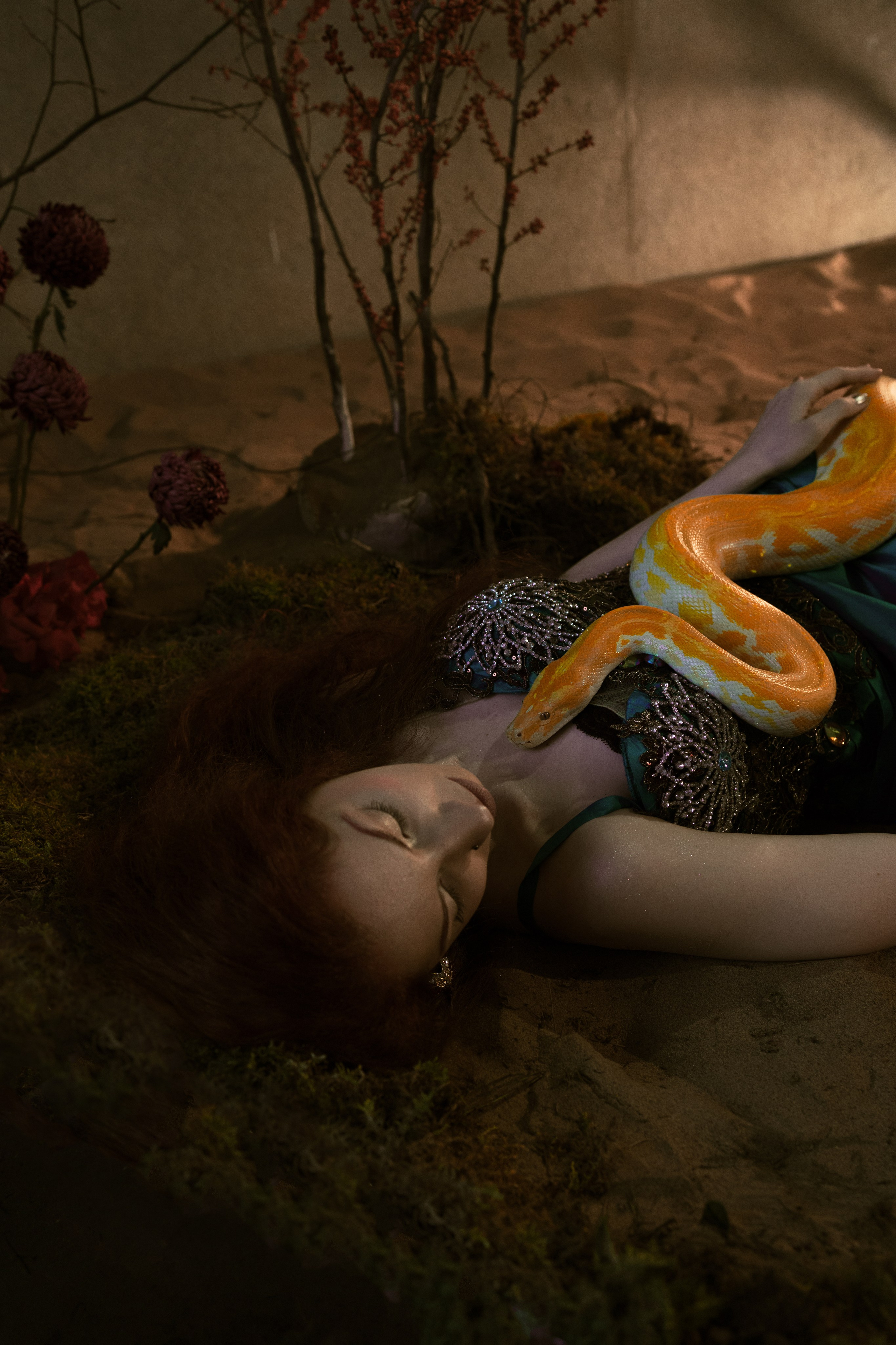 Спящая красавица