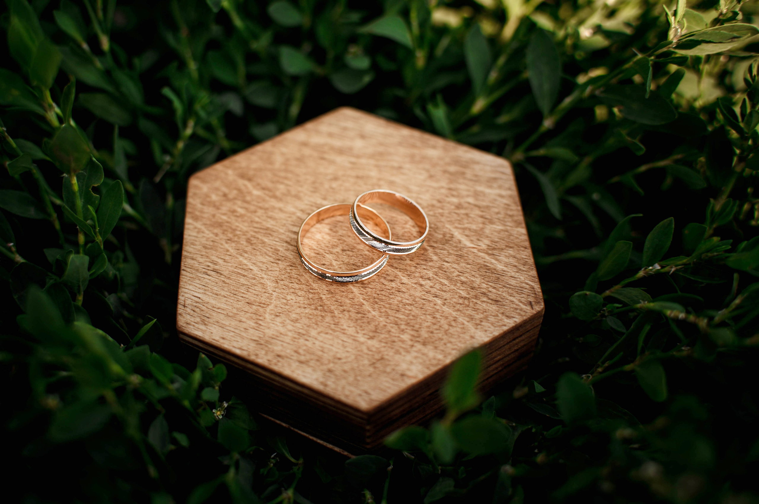 Летняя свадьба в + 35С Юра+Ксюша. Свадебный, семейный, детский, контент фотограф в Омске Максим Ильин