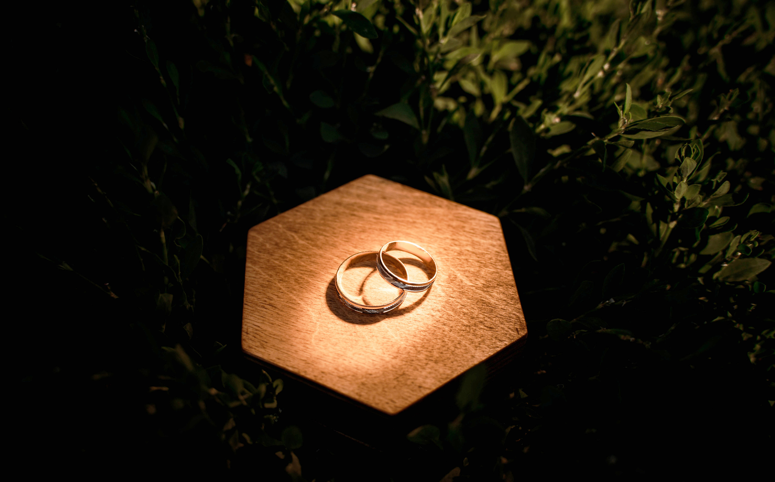 Летняя свадьба в + 35С Юра+Ксюша. Свадебный, семейный, детский, контент фотограф в Омске Максим Ильин