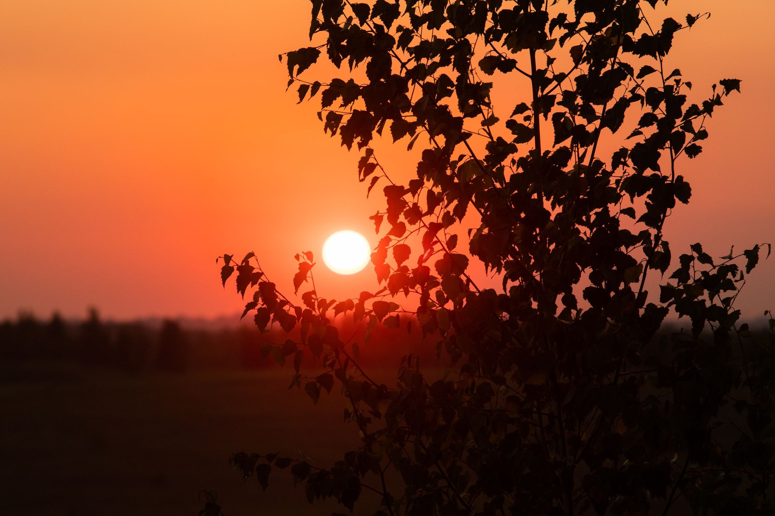 Кондуки (10 июля 2021). Репортажный фотограф Алексей Пирязев