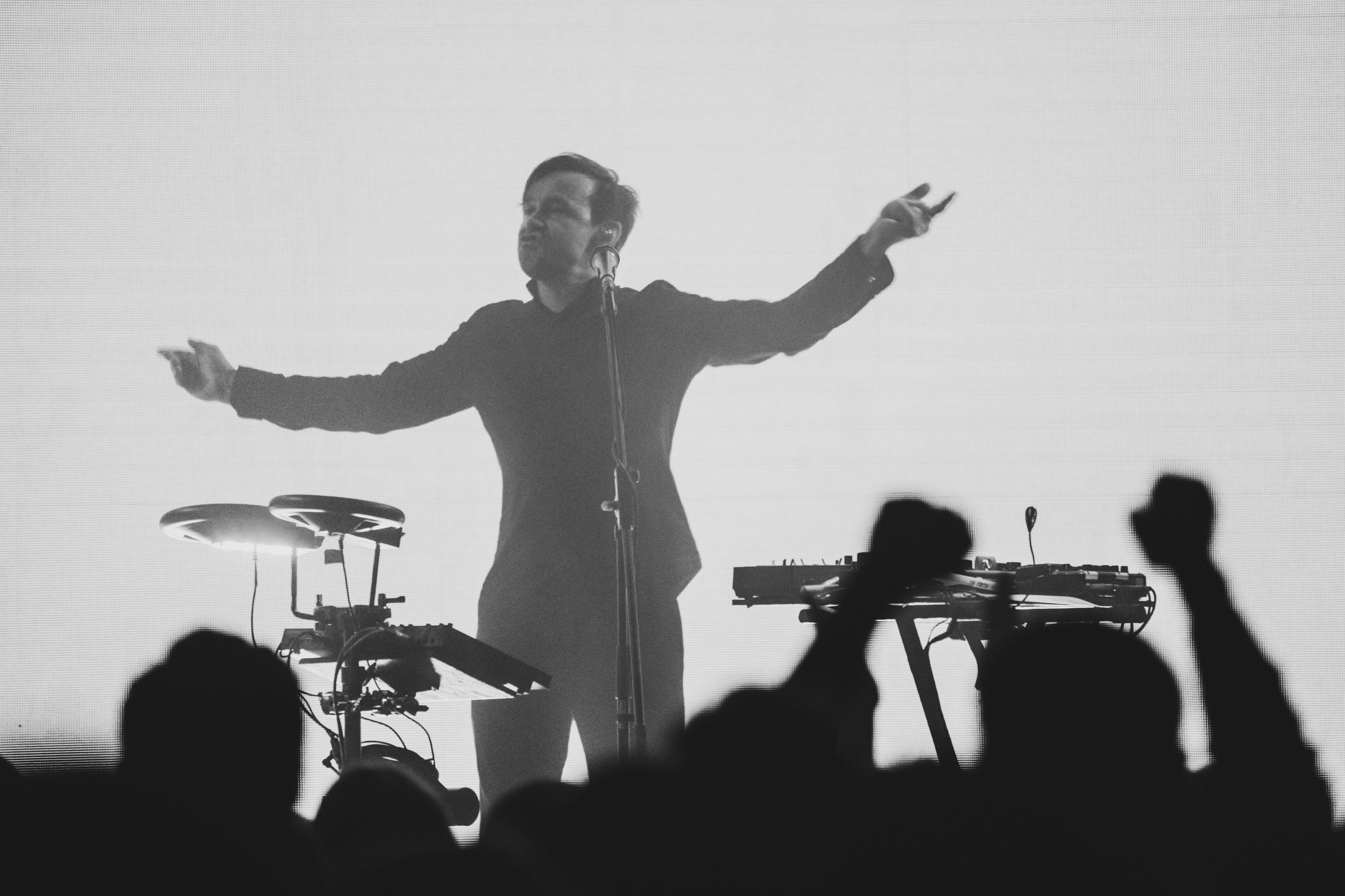 Дельфин. Репортажный фотограф Алексей Пирязев