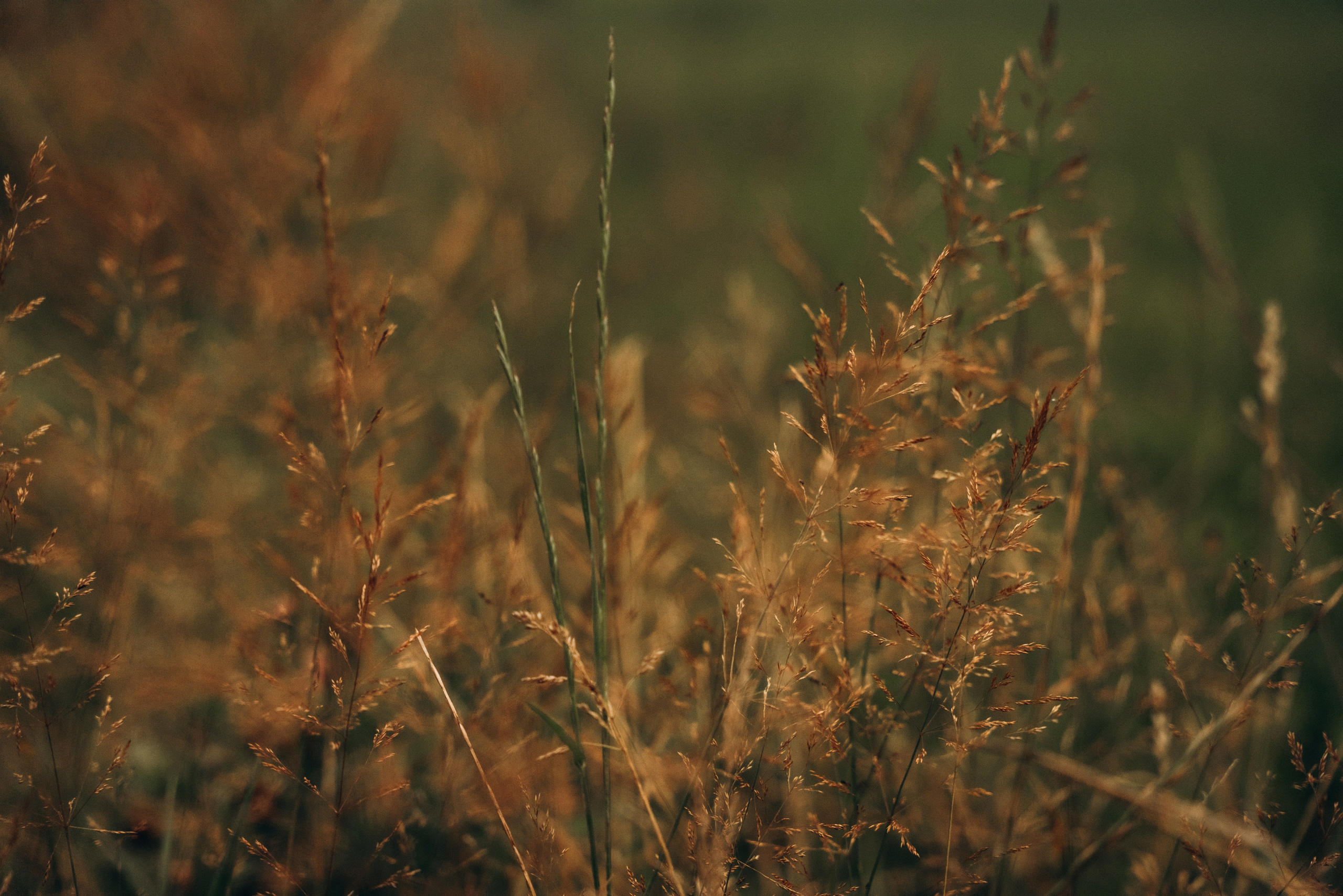 Лорена и Николь. Фотограф Мария Миллс | Минск