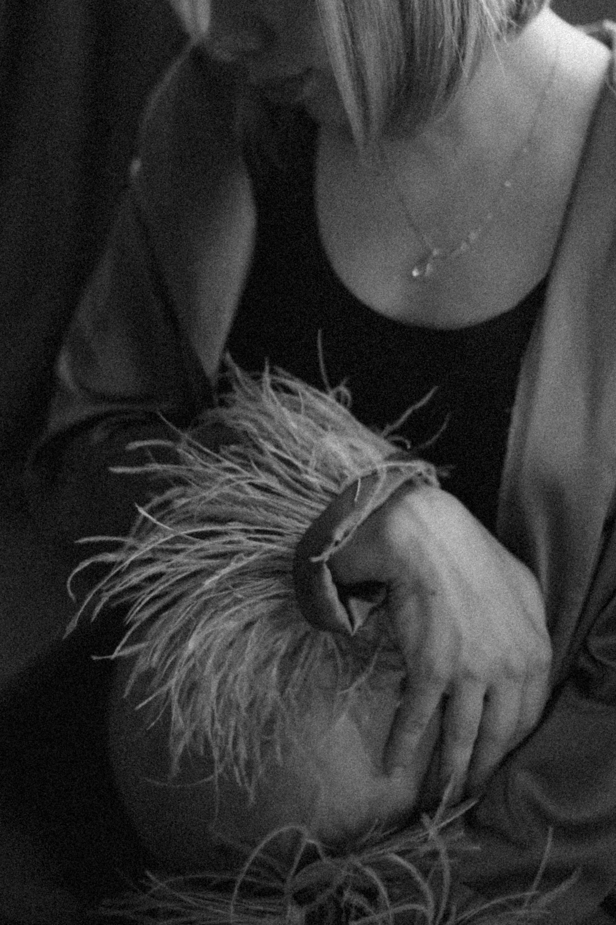 Фотосессия беременности. Фотограф в Иркутске Светлана Нартова