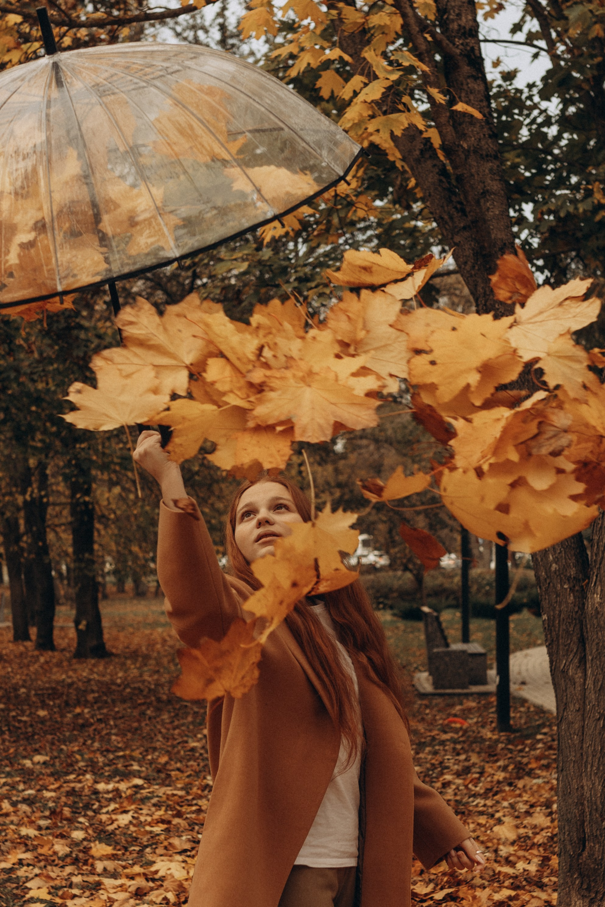 Золотая осень. Индивидуальная съёмка. Фотограф в Ставрополе Svetlana Matveeva