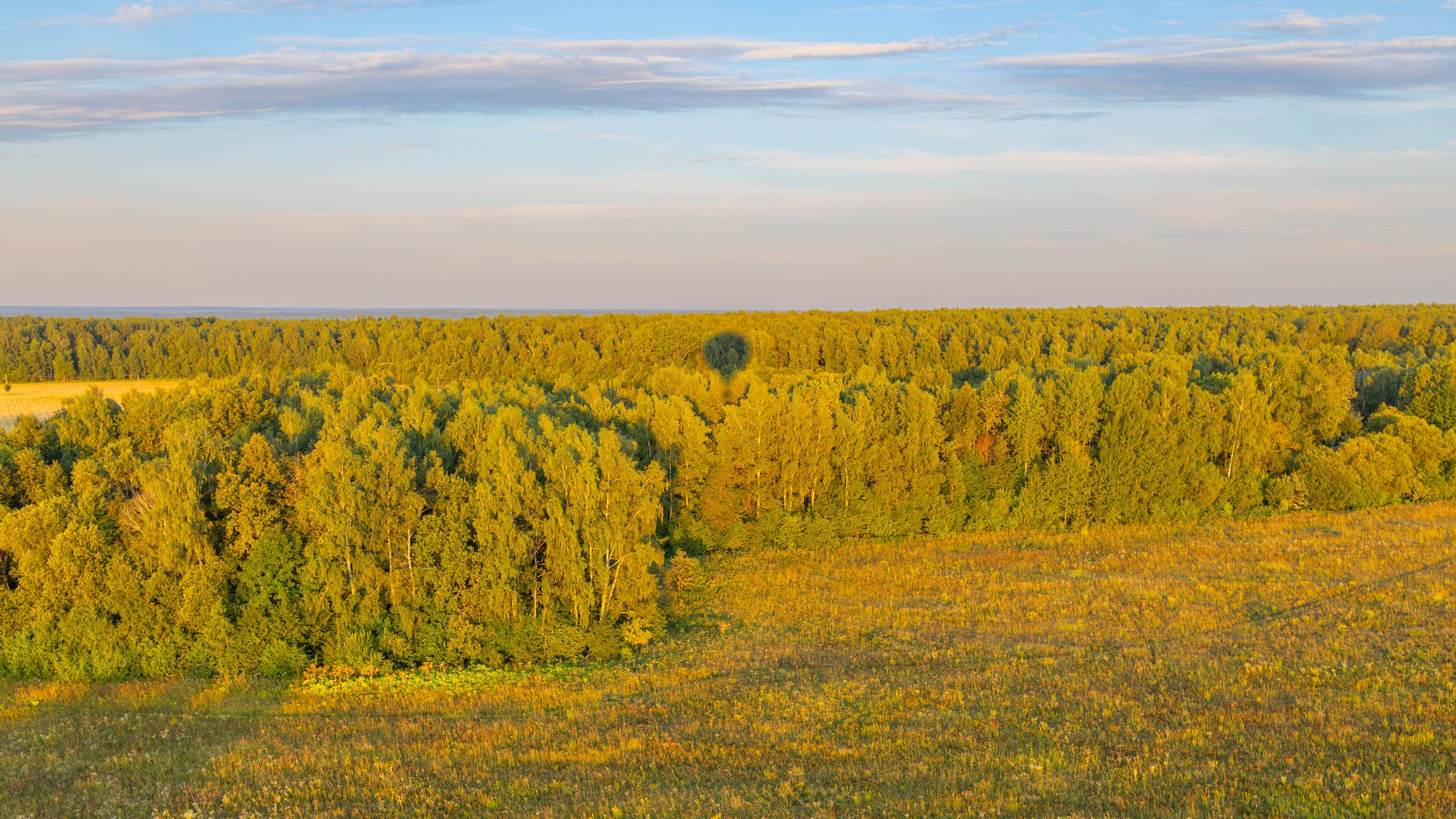 Тула, полет на воздушном шаре