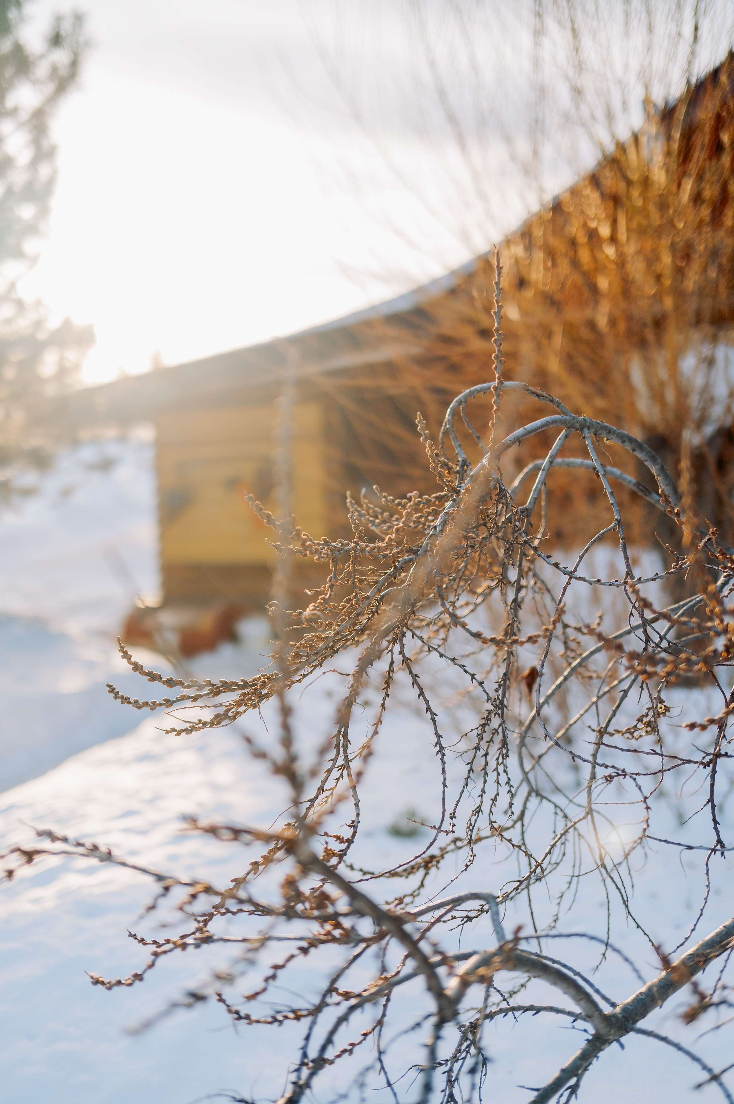 База отдыха «Заимка», Чувашия, февраль 2024. Фотограф Александр Золотых