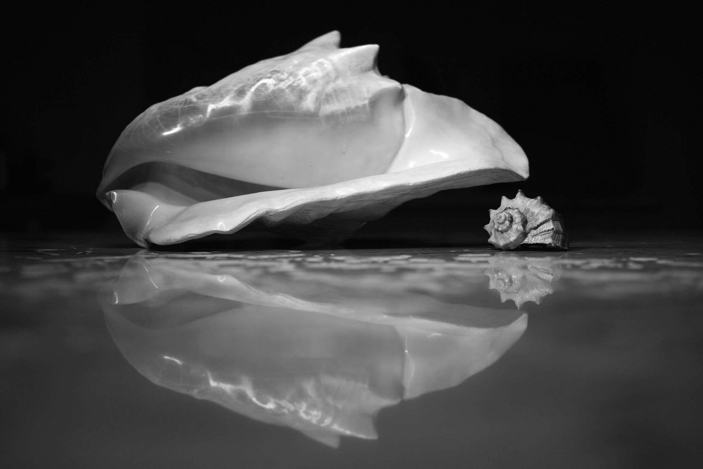 Artkapella|Олег Кузнецов