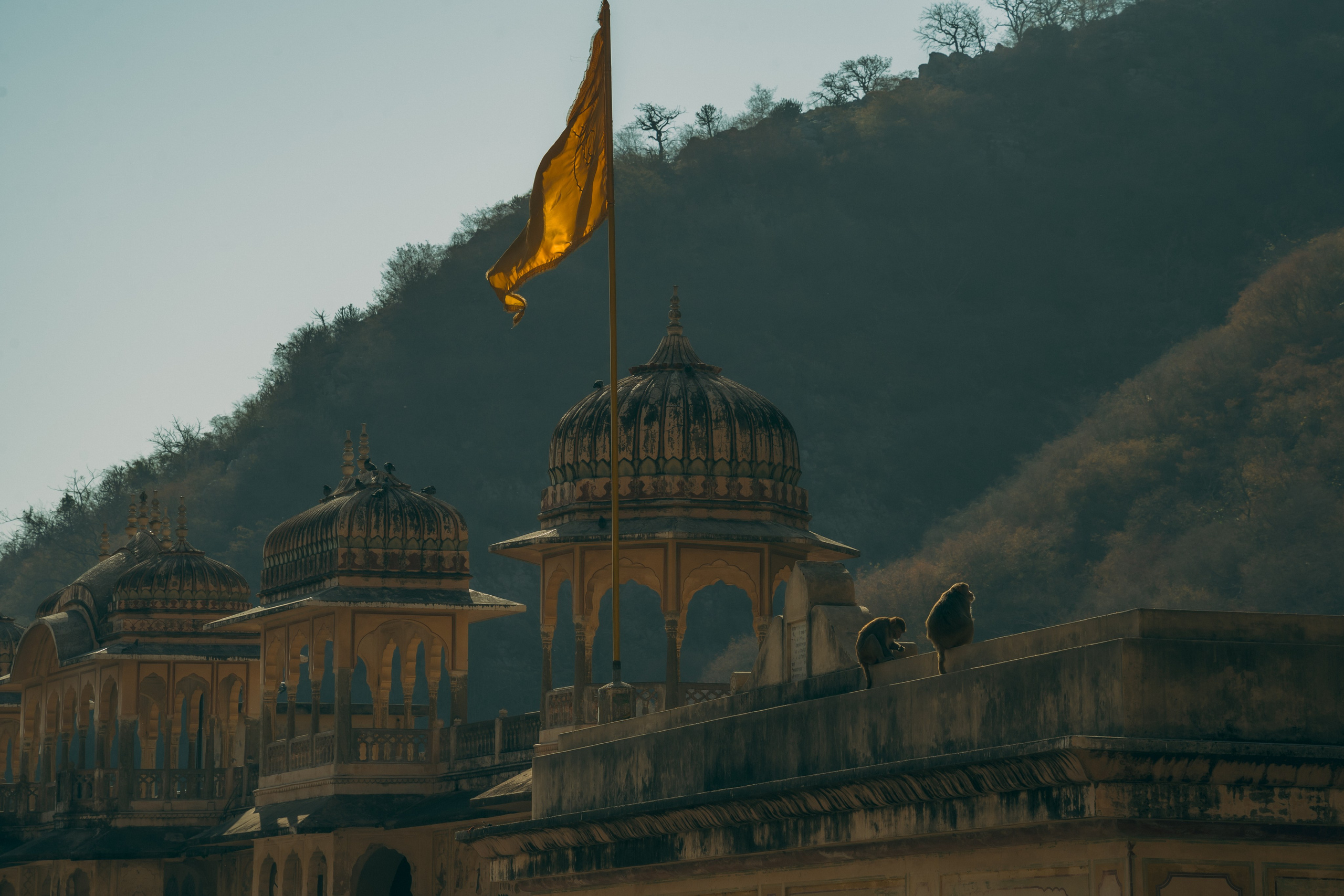 Истории старого Ханумана. Shaltay Gallery