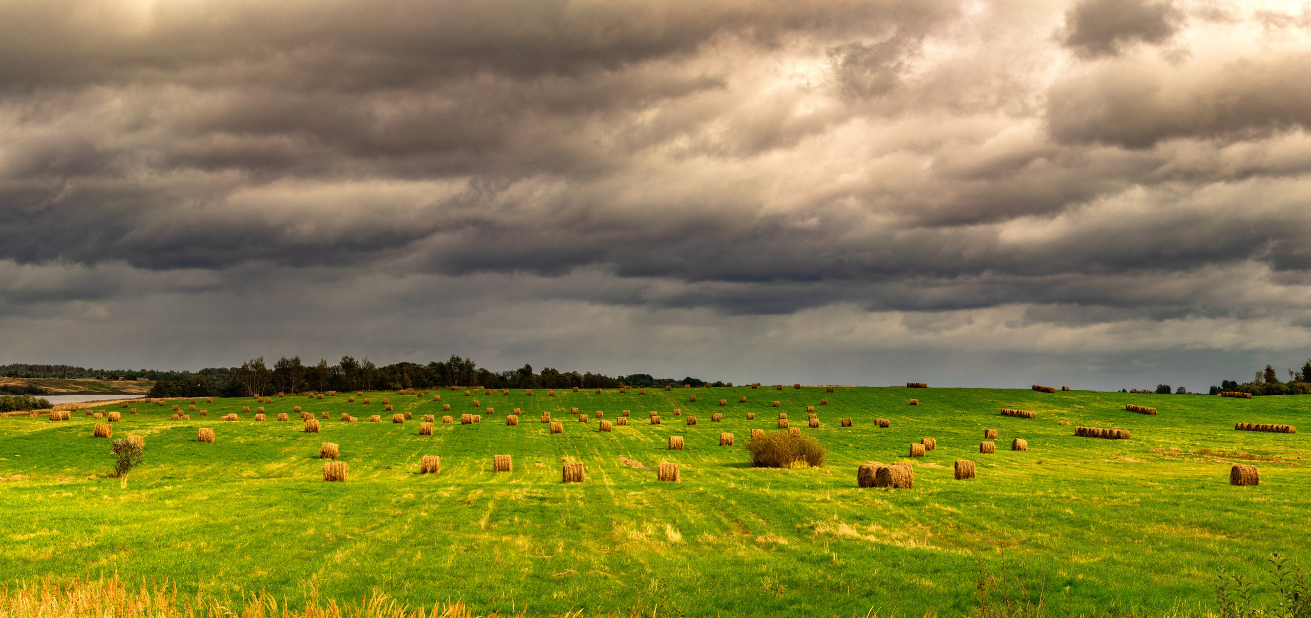 На досуге. Фотограф в Вязьме