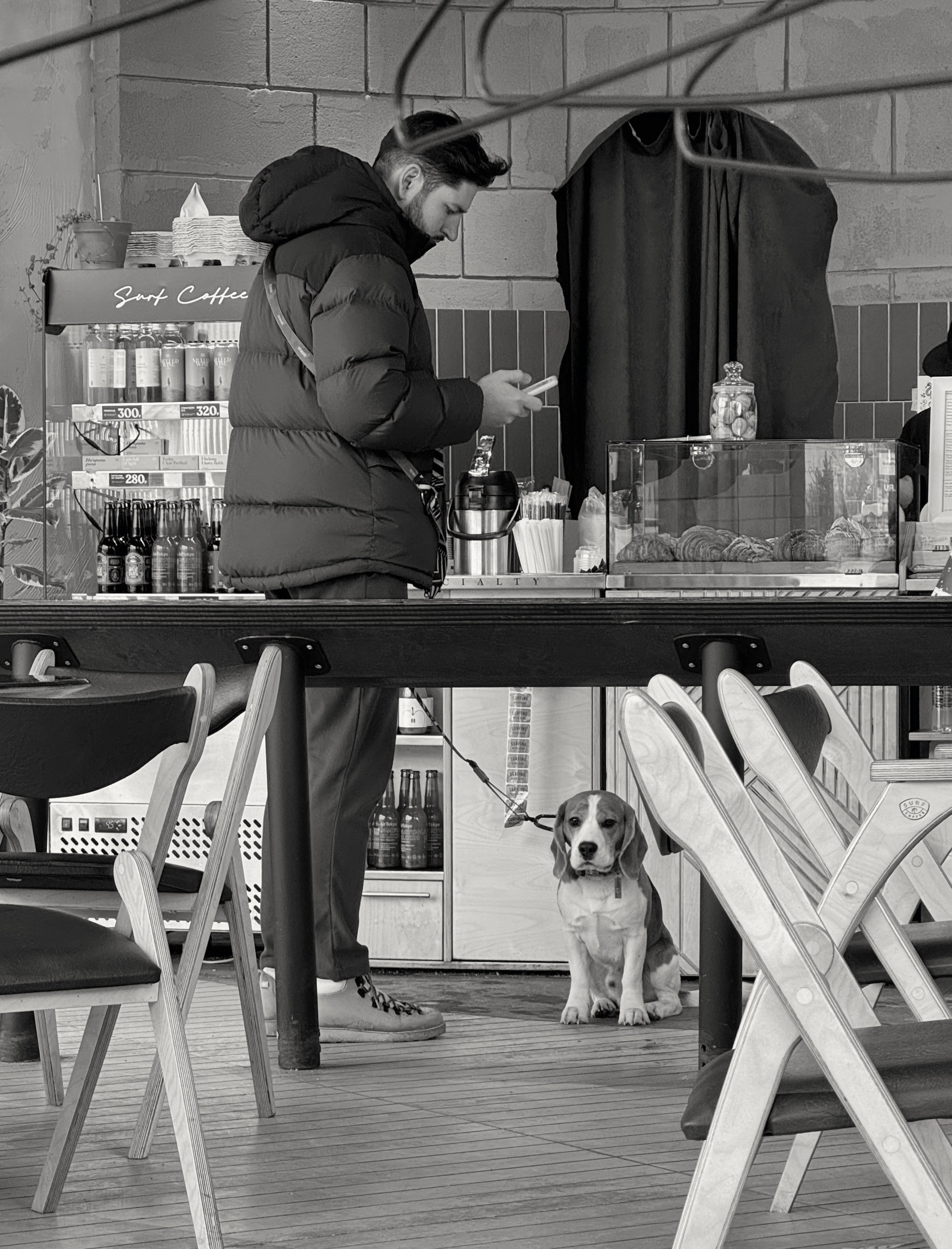 «Хозяин, ну ты скоро?..»