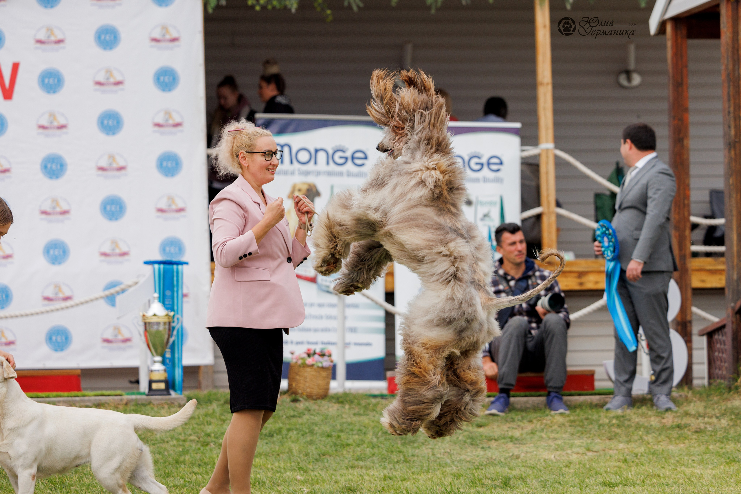 Туция,Стамбул 2хCACIB 26-27.10.24. Фотограф-анималист Юлия Германика