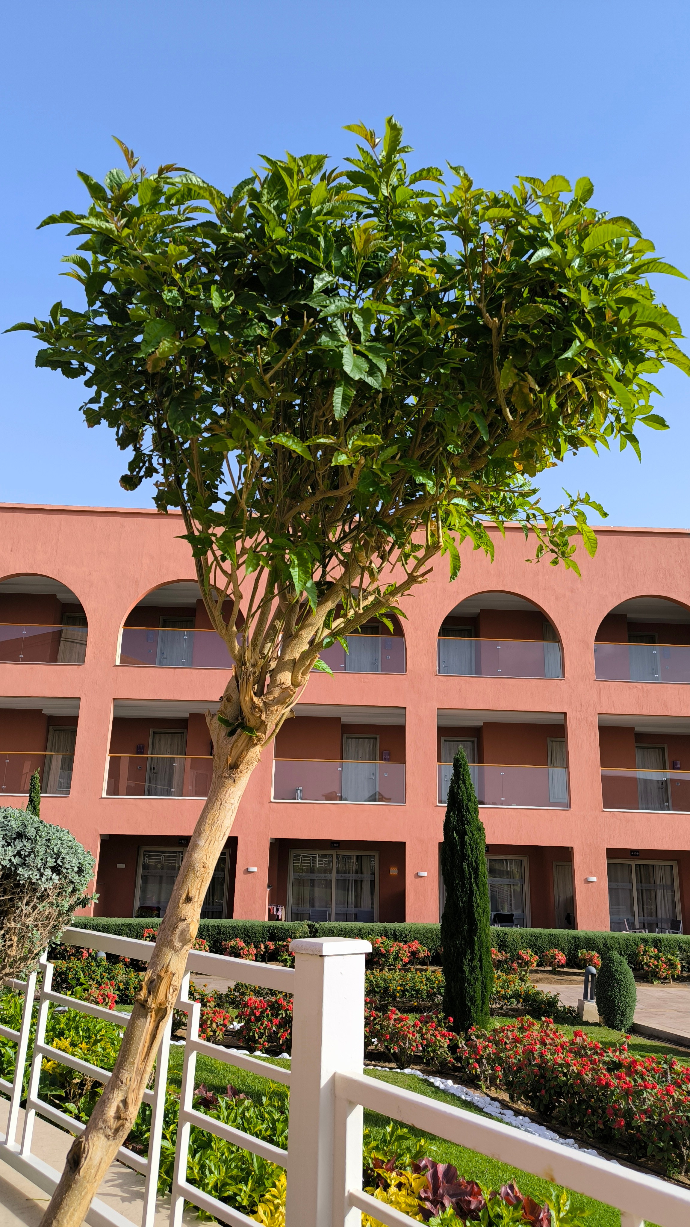 Шарм-Эль-Шейх. Светлана Иванова - профессиональный фотограф