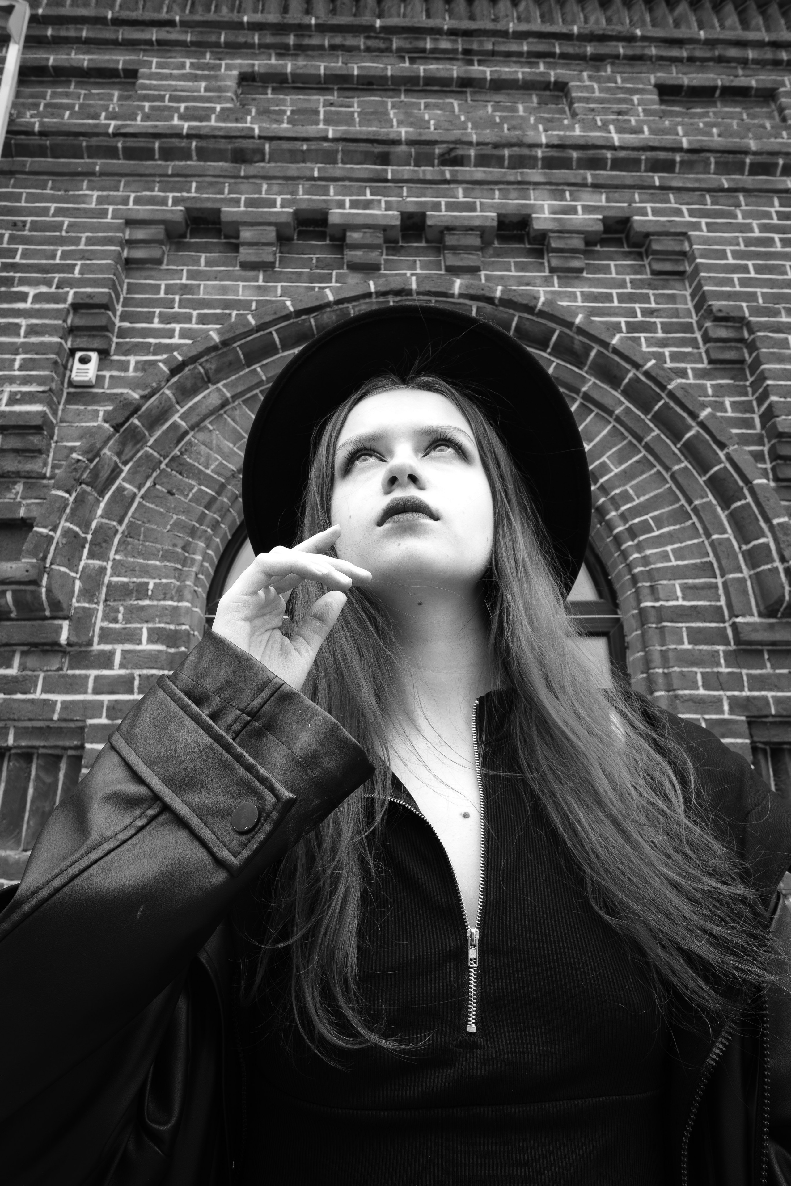 The grotesque. Aleksandr Schafft