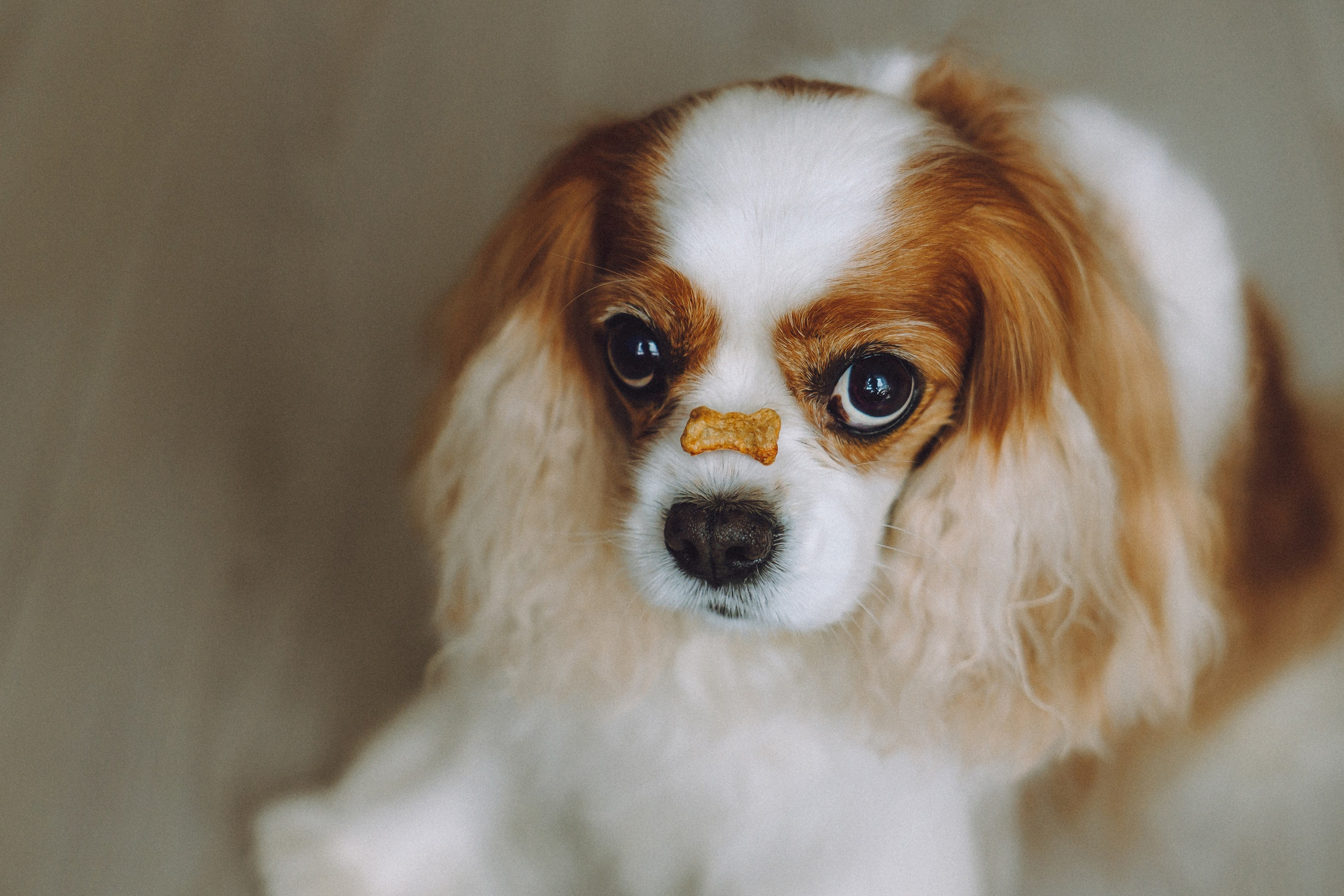 Наташа и Вики