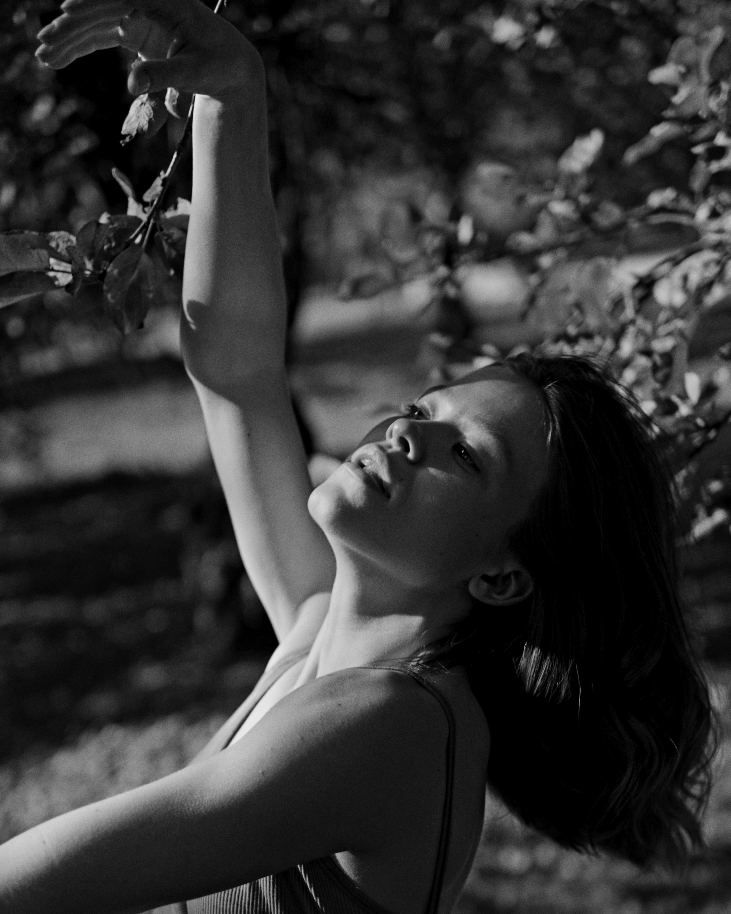 Dancing in the shade of trees