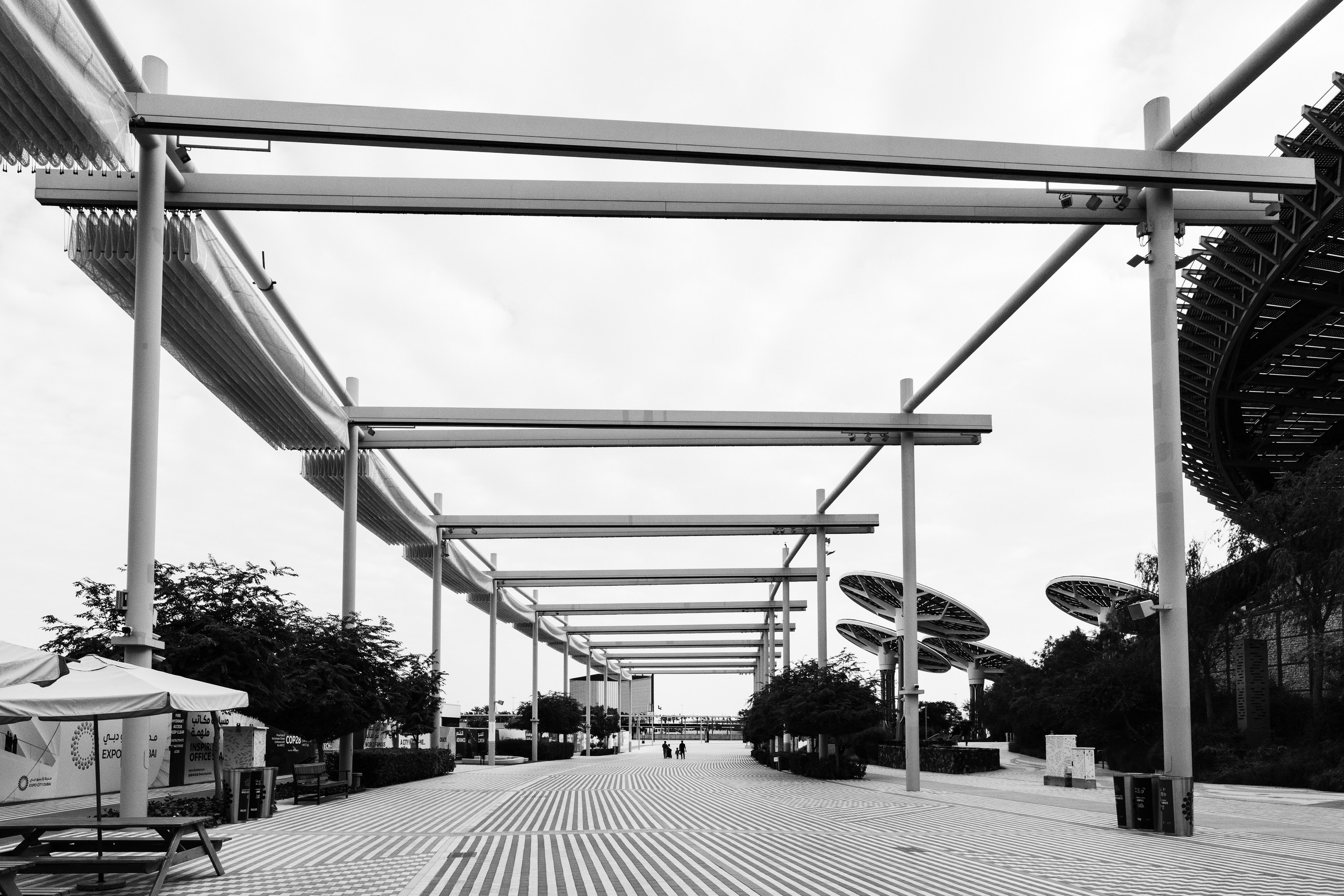 Дубай 2023. Руслан Плахтеев