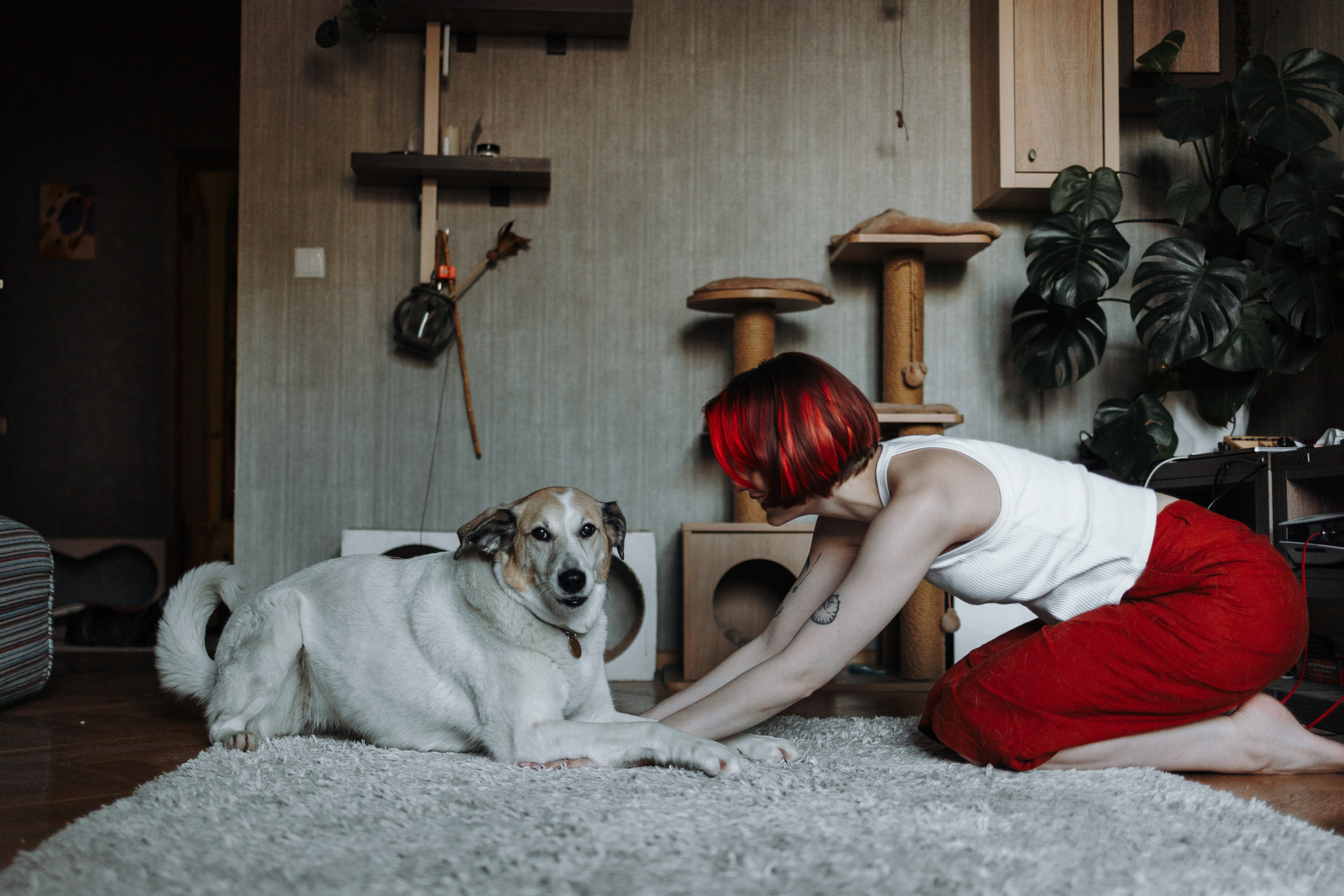 Саша и ее хвосты. Фотограф — Анималист | Санкт-Петербург