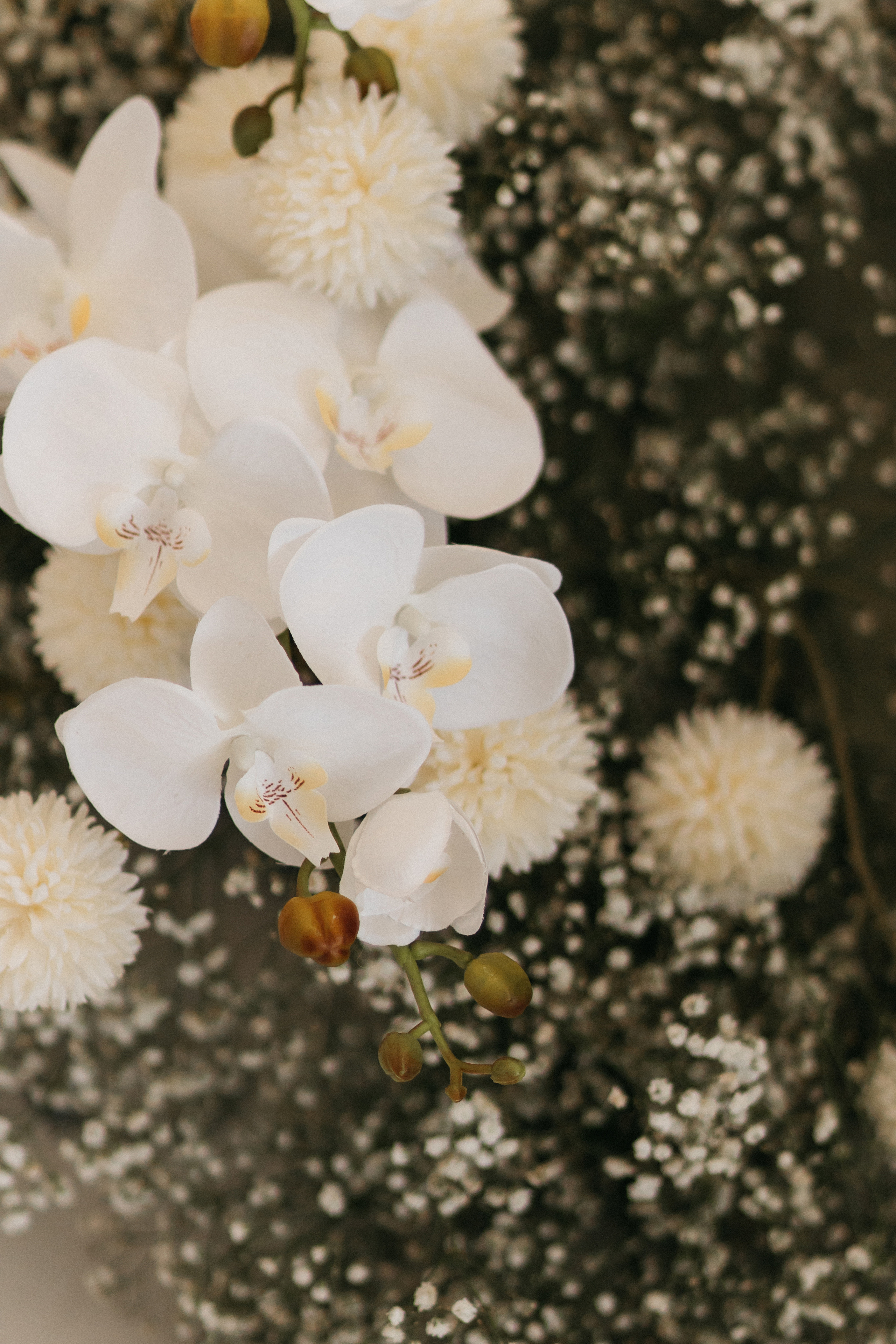 Аня и Егор. Свадебный и семейный фотограф в Москве Холда Тати