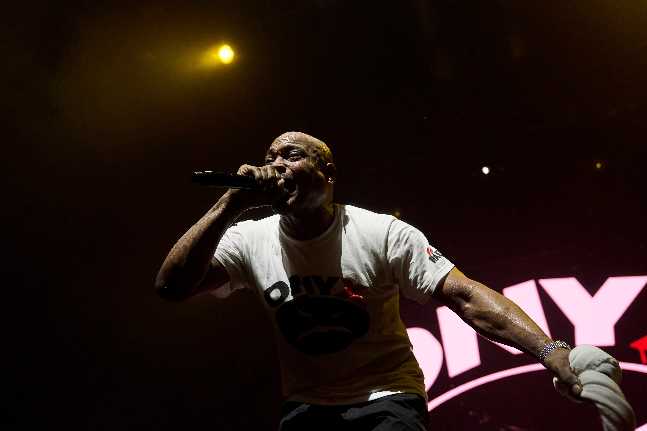 ONYX / 1930 / 21.07.2024. Ekhovanov | фото- видеосъемка