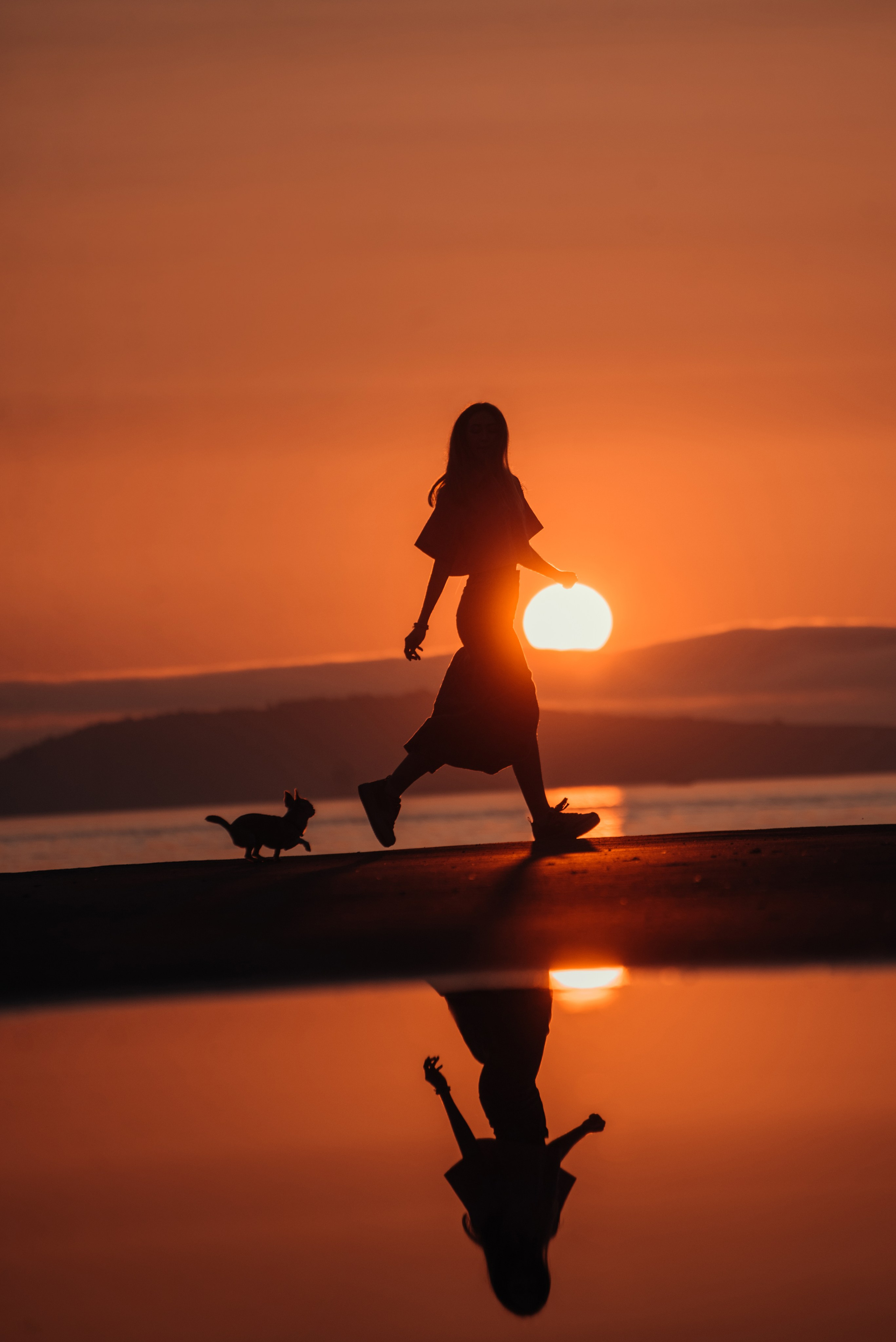 Прогулка: чихуахуа Хенни и Алина во Владивостоке. Портфолио