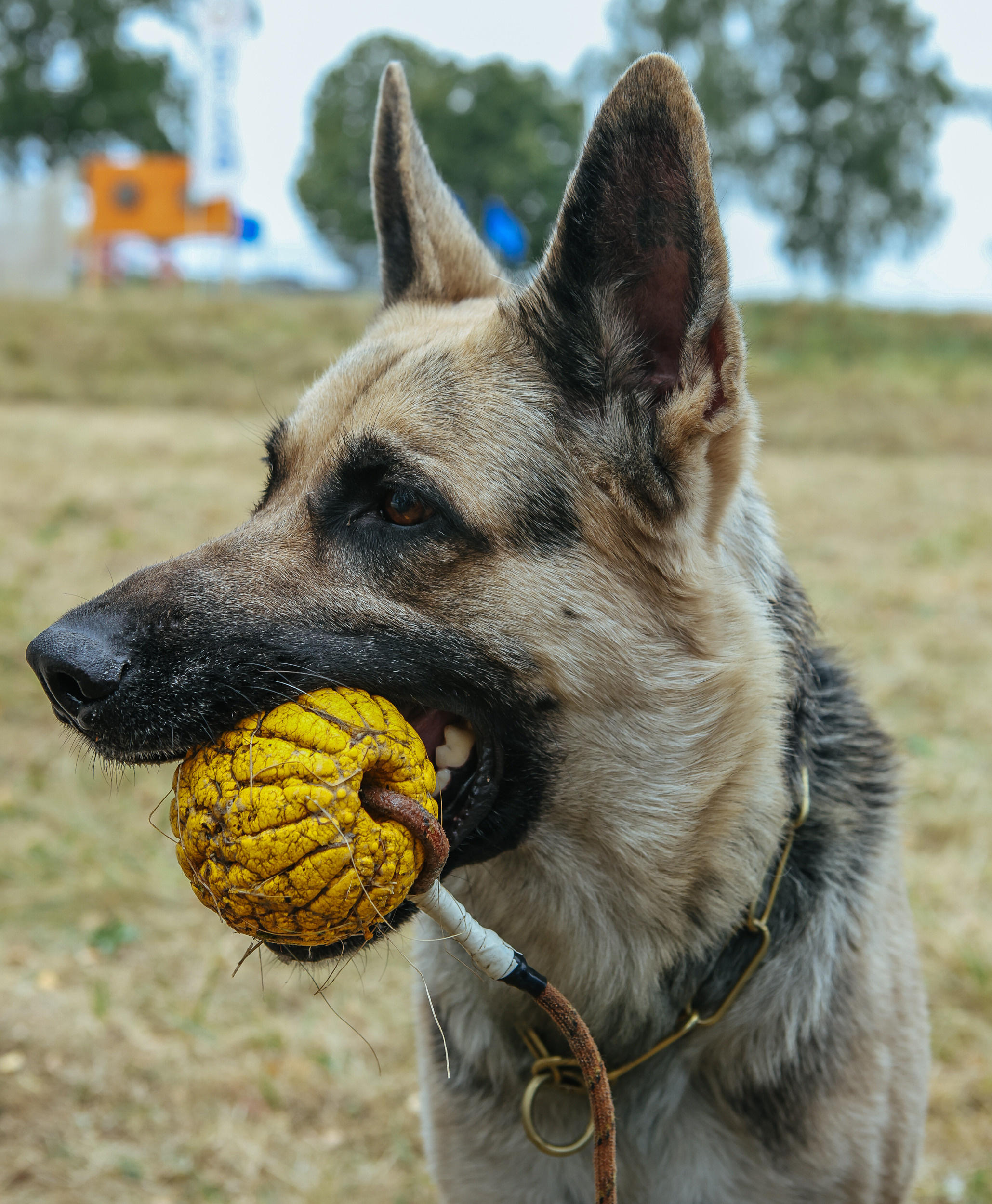 ARMY2022. Репортажный, архитектурный, театральный и файн-арт фотограф Лена Мельникова в Москве